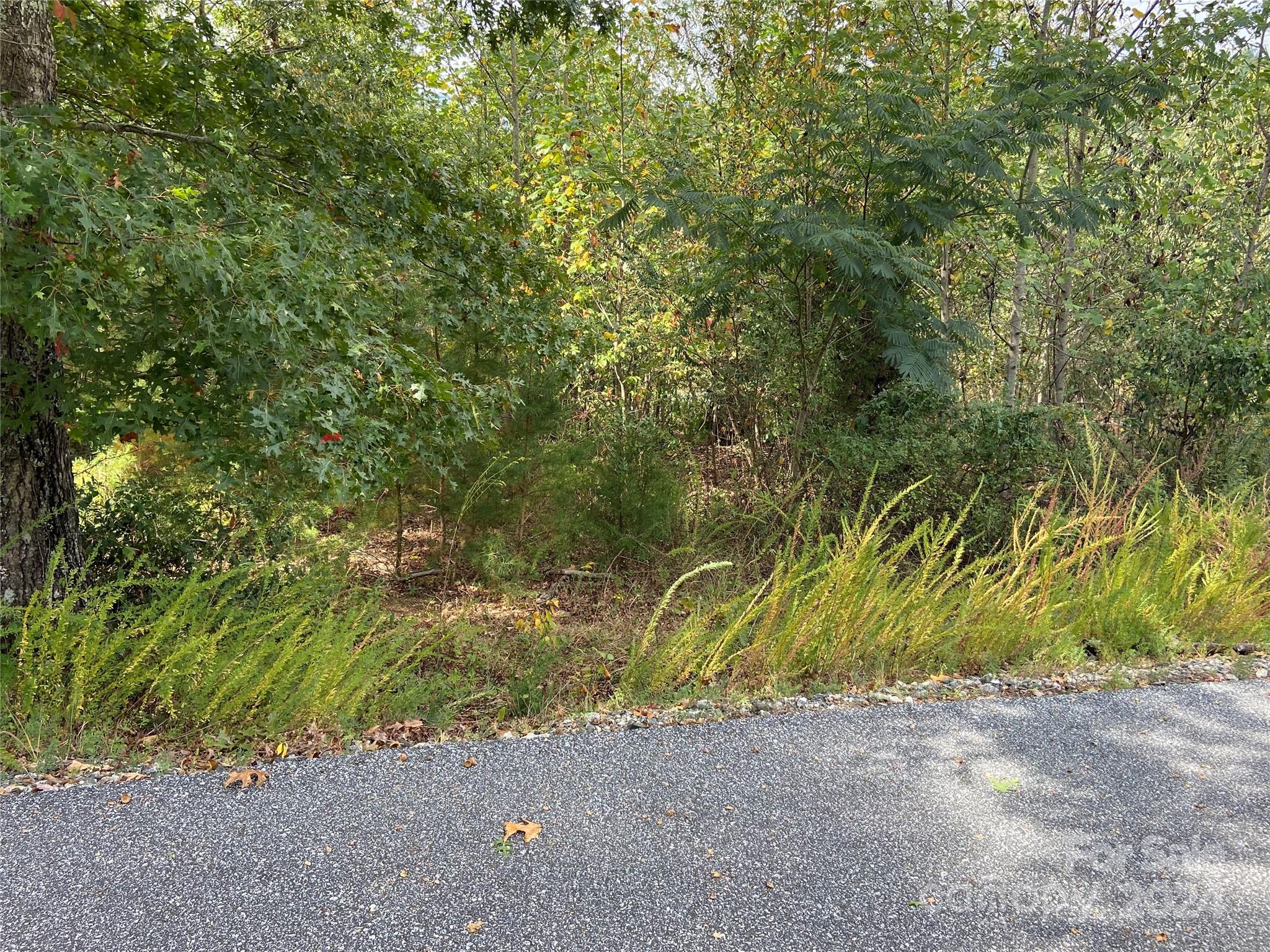 0 Willow Top Lane 311