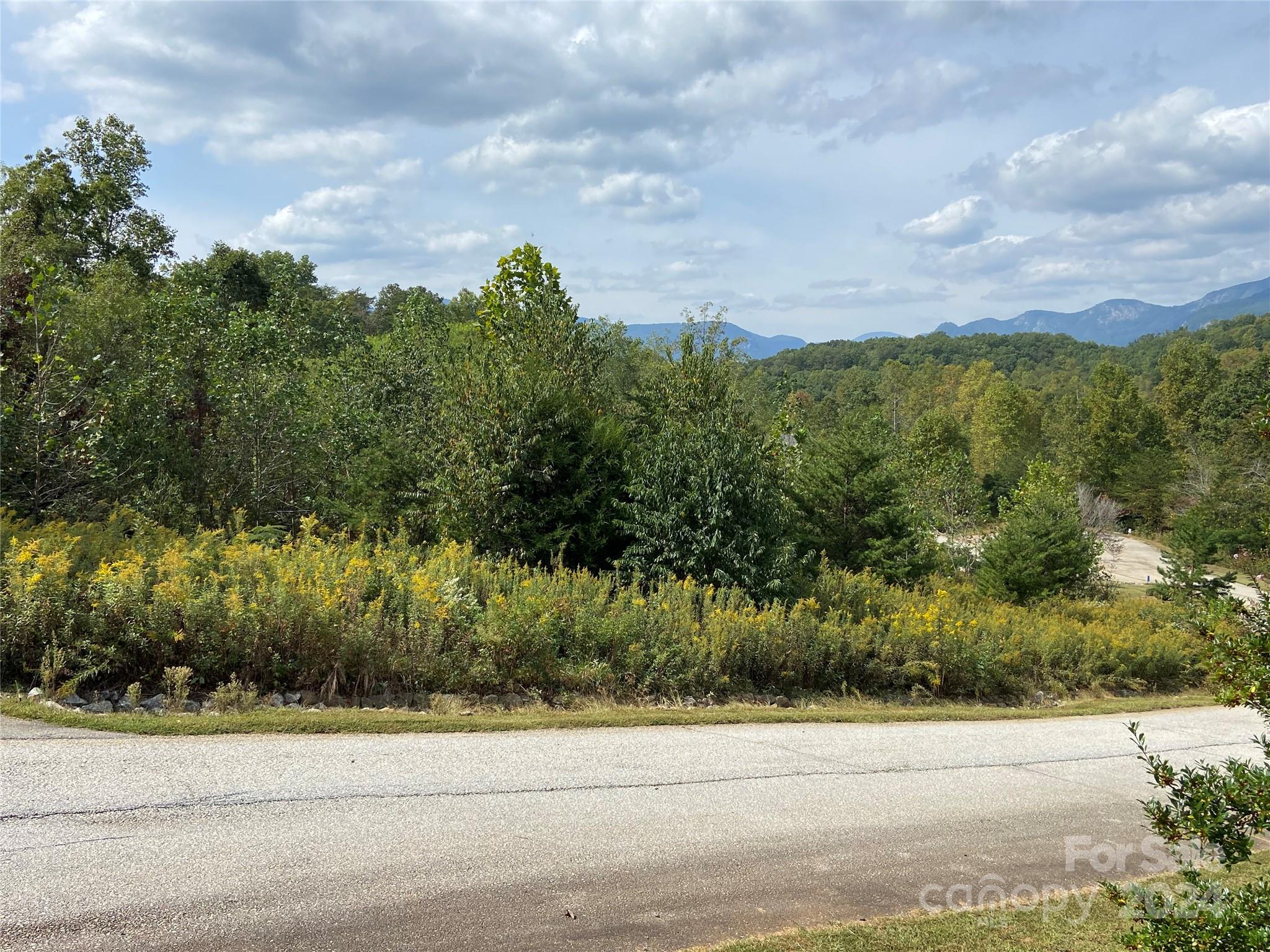 0 Willow Top Lane 311