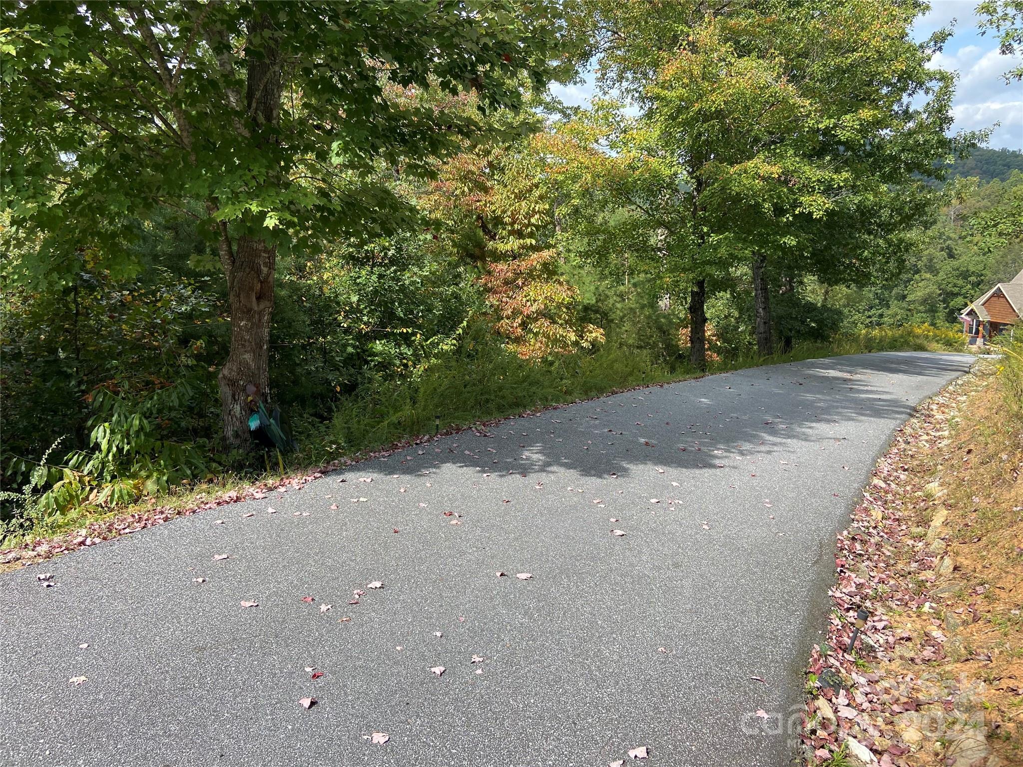 0 Willow Top Lane 311