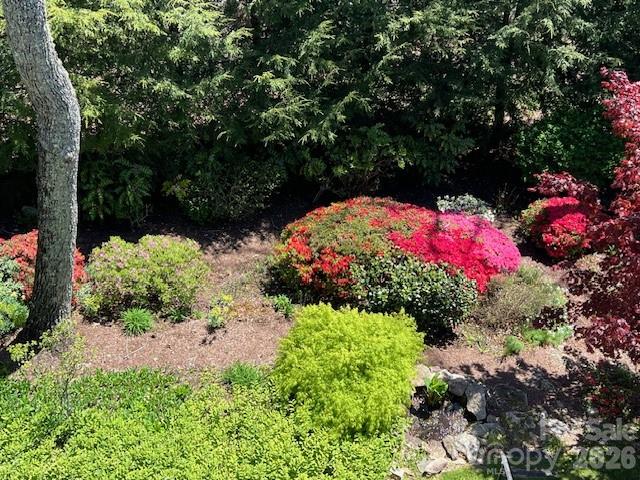 Kenmure - Residential