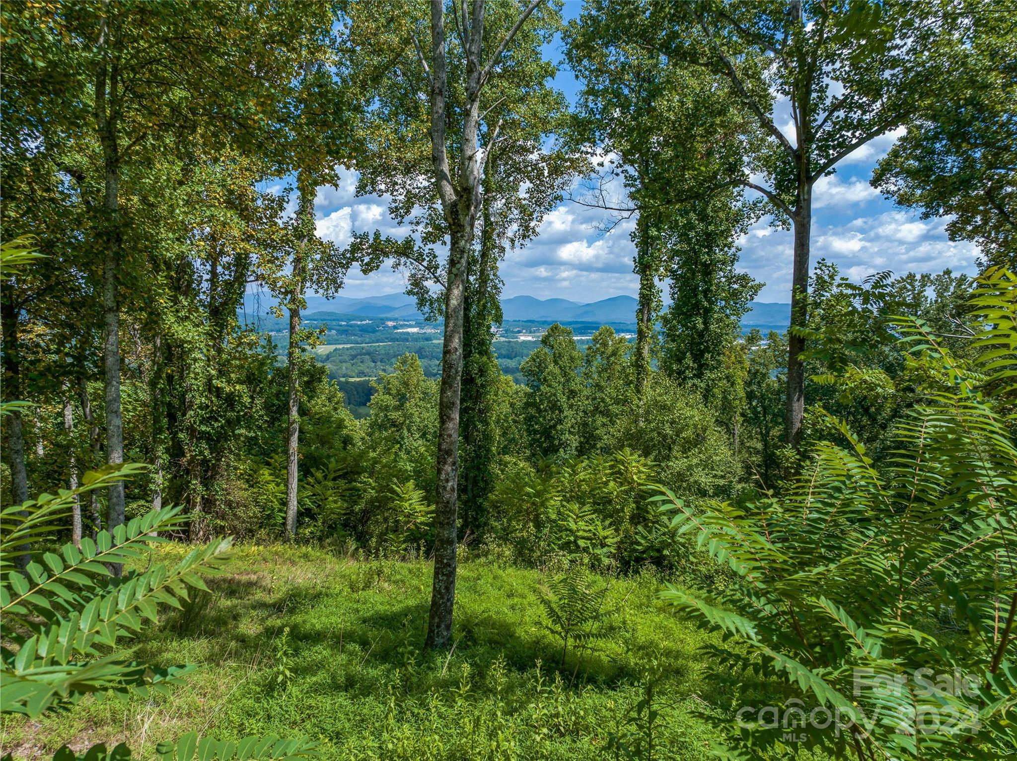 The Cliffs At Walnut Cove - Land