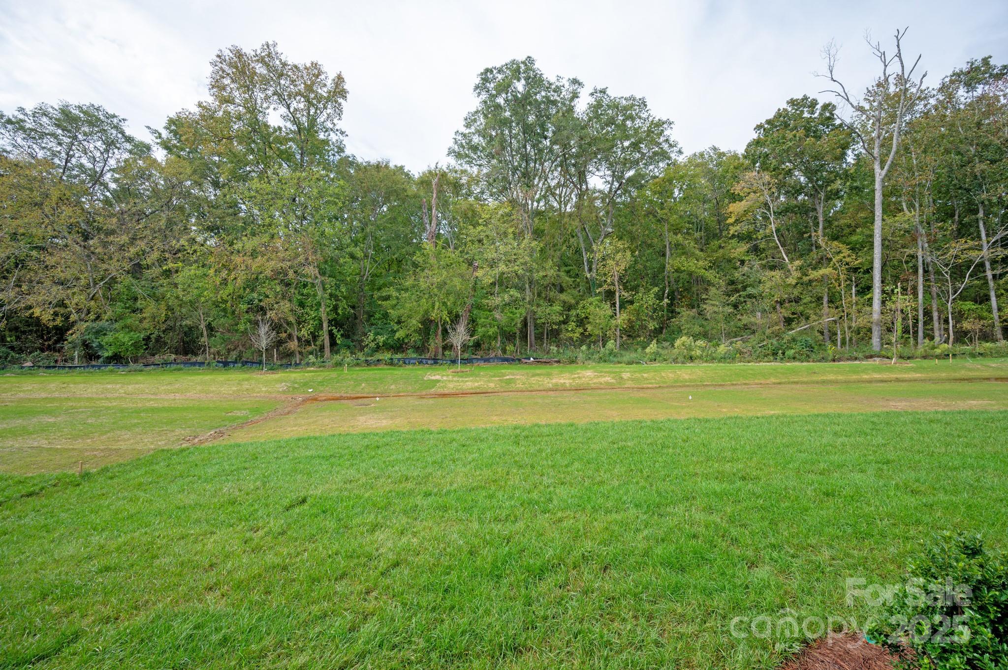 Broadmoor at Marvin - Residential