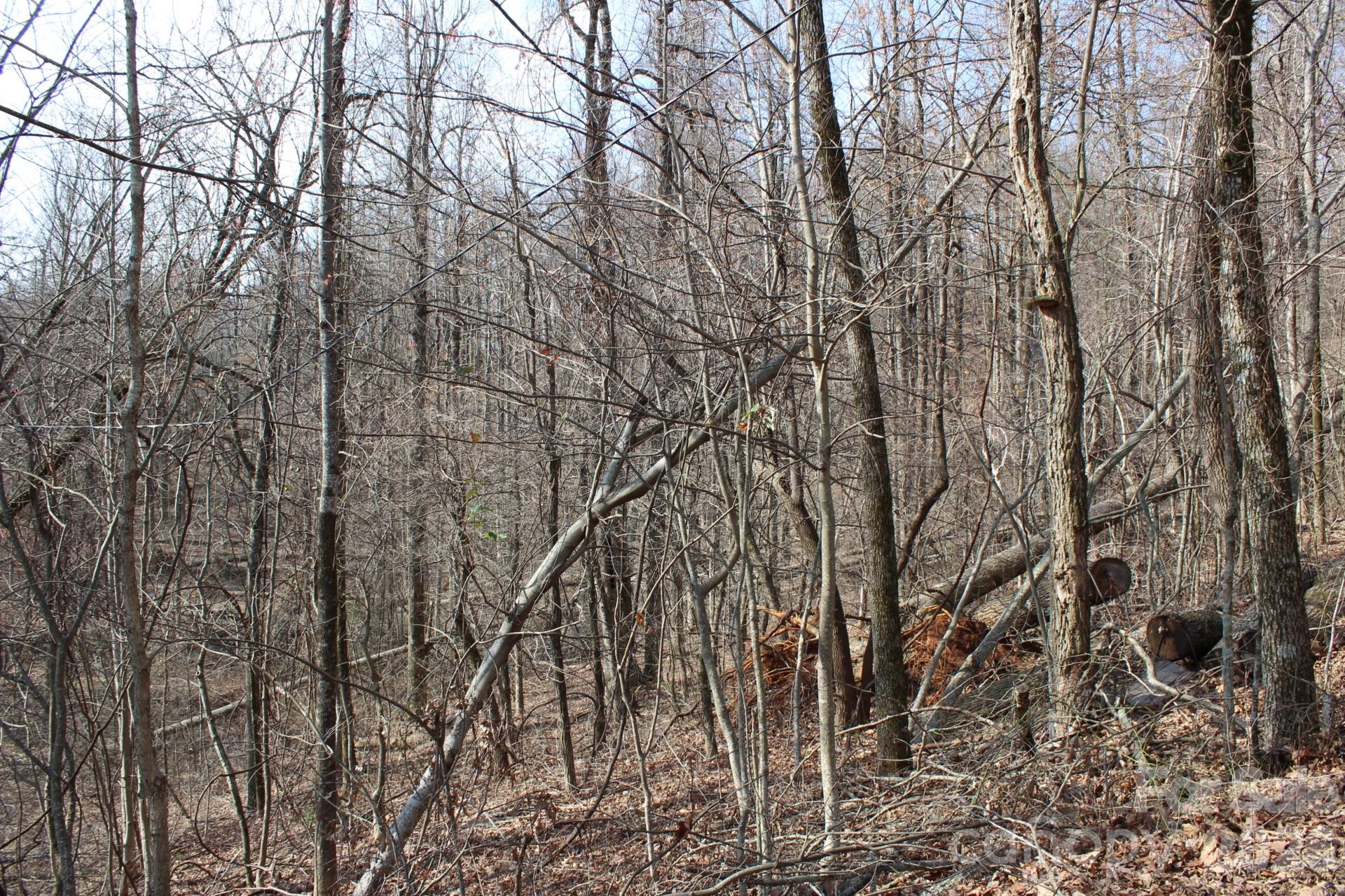 White Oak Mountain - Land