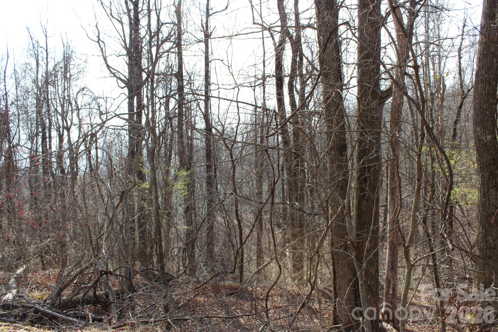 White Oak Mountain - Land