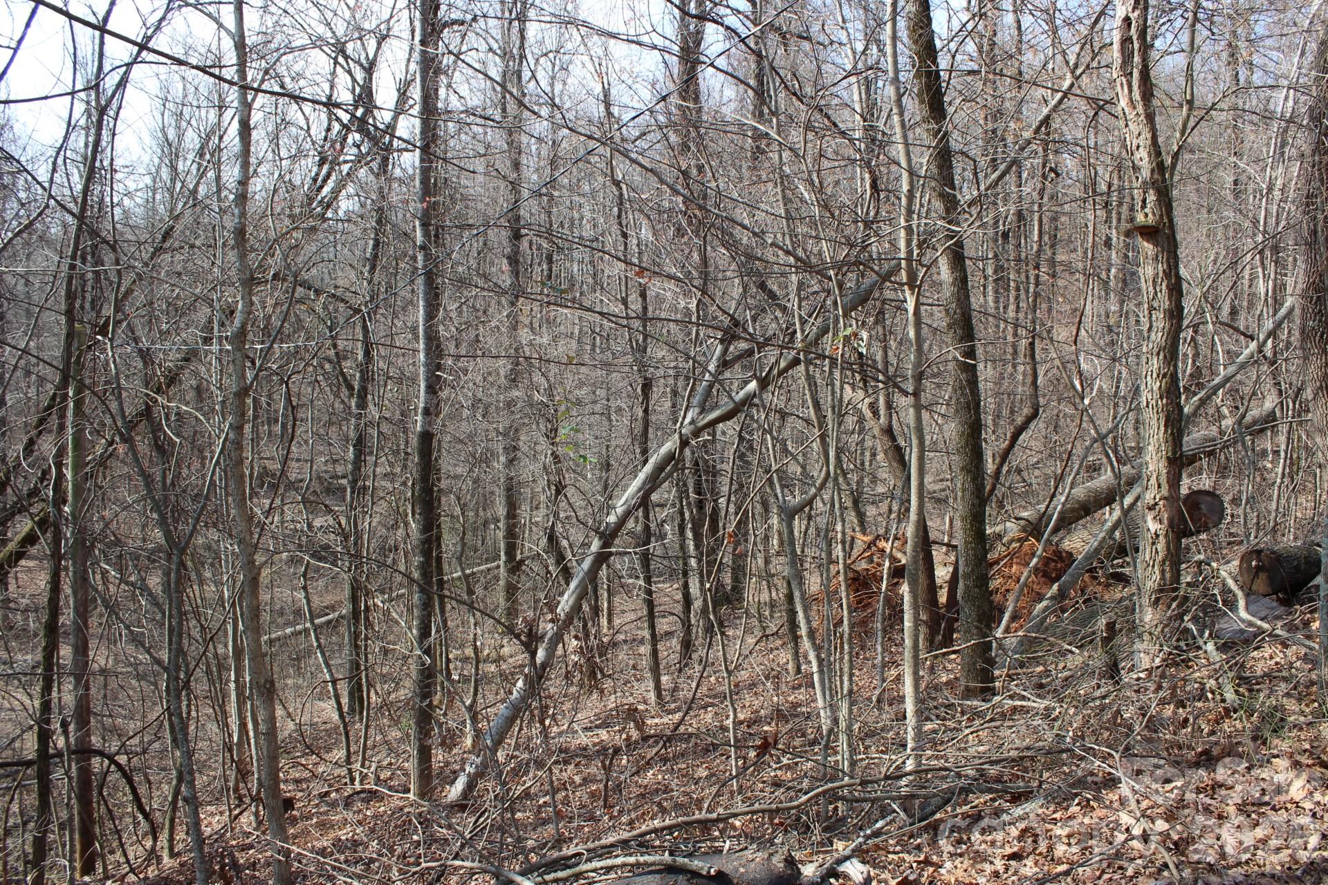 White Oak Mountain - Land