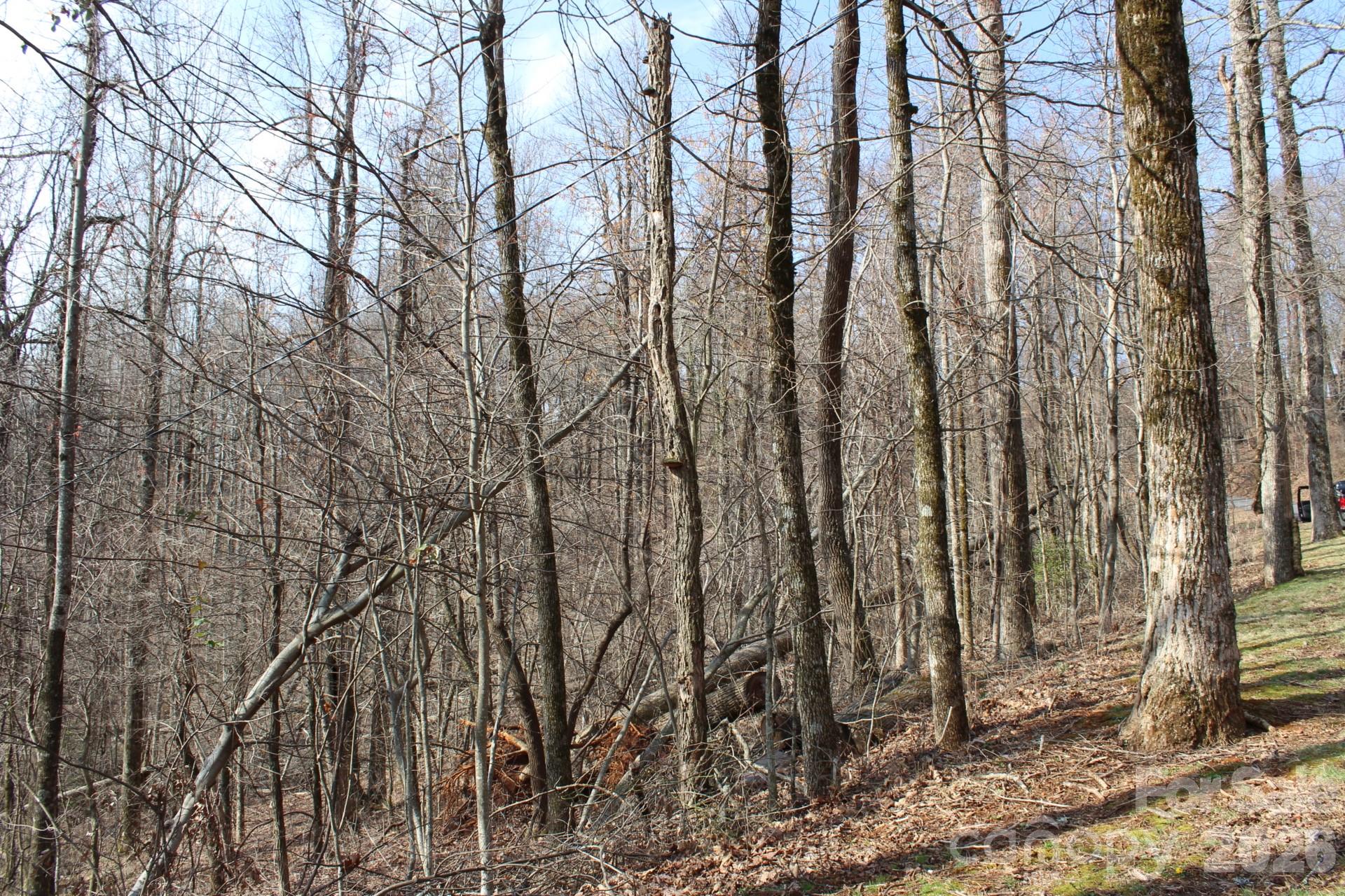 White Oak Mountain - Land