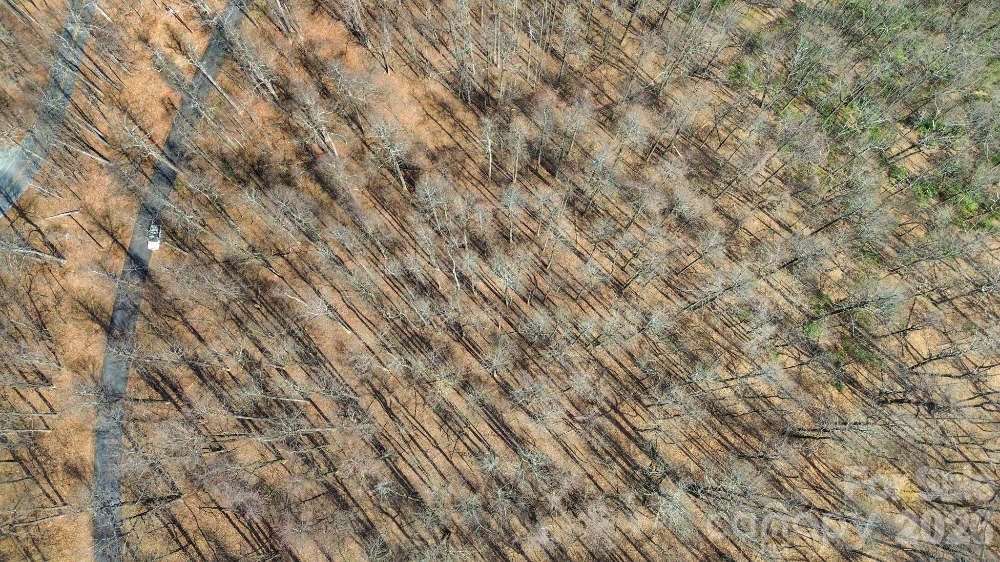 Lot 20 Sunset Ridge Drive 20