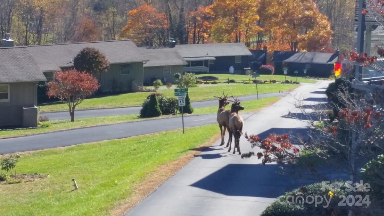 Stoney Ridge - Residential