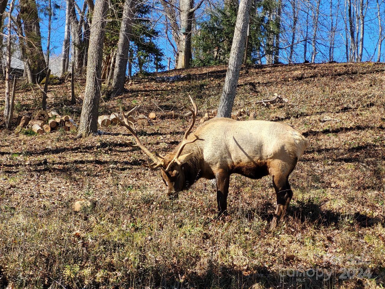 Stoney Ridge - Residential