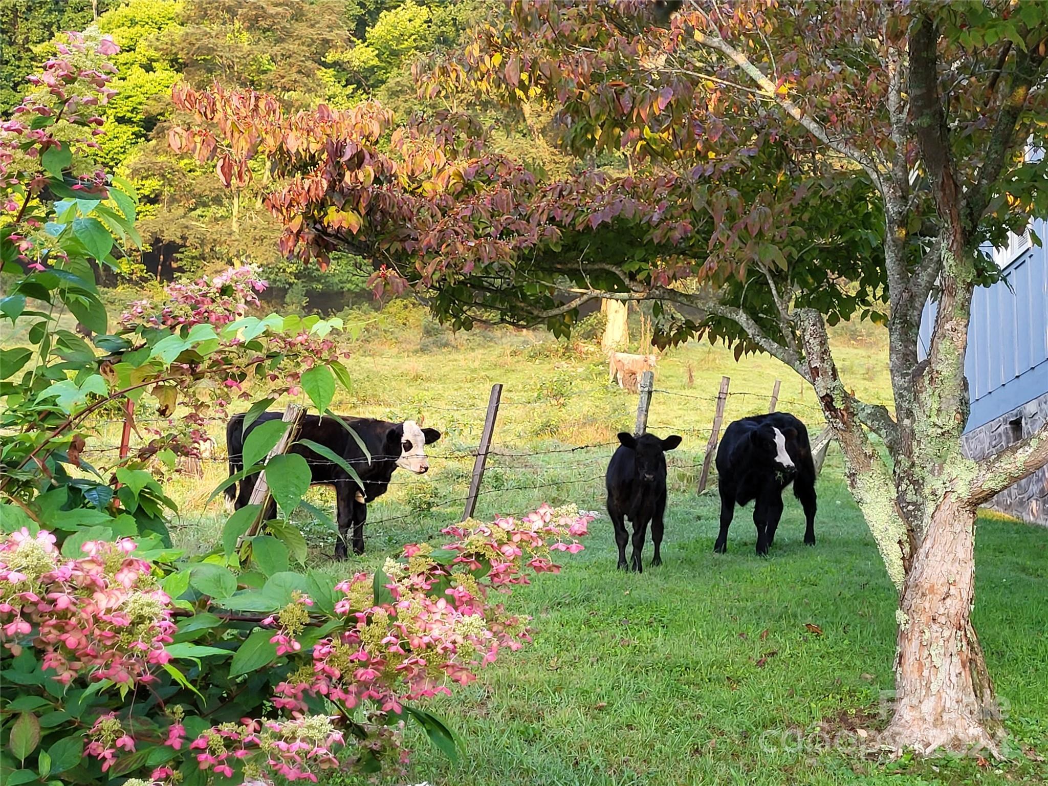 Stoney Ridge - Residential