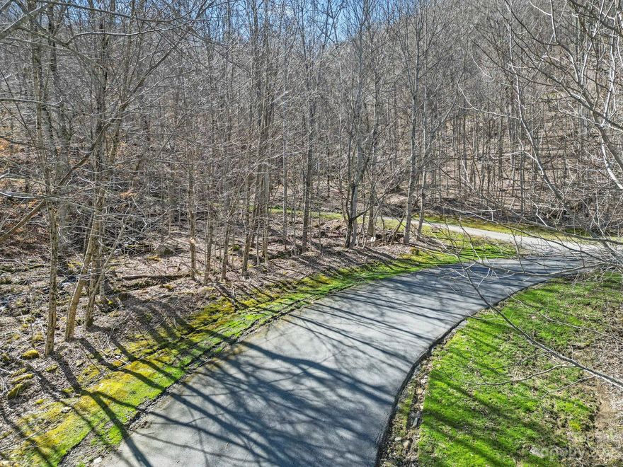 Chestnut Village is a delightful street within the Wolf Laurel Community which offers all paved roads from the 24 hour security gate to your front door. Situated at 4,000+ ft in elevation in the Blue Ridge Mountains, Wolf Laurel offers stunning year-round, long-range mountain views. The Wolf Laurel Community, including Chestnut Village, is not only a haven for nature lovers but also a highly sought-after year-round vacation destination with the Pisgah National Forest & Conservation Land surrounding it. The option for short-term rentals makes it an appealing choice for those seeking to immerse themselves in the splendor of the Blue Ridge Mountains temporarily. Whether you are a nature enthusiast, an outdoor adventurer, or someone who simply appreciates magnificent mountain views, Chestnut Village in Wolf Laurel Community offers an ideal setting to enjoy all of these experiences. Priced below tax value, don't miss your opportunity to start building your mountain dream.