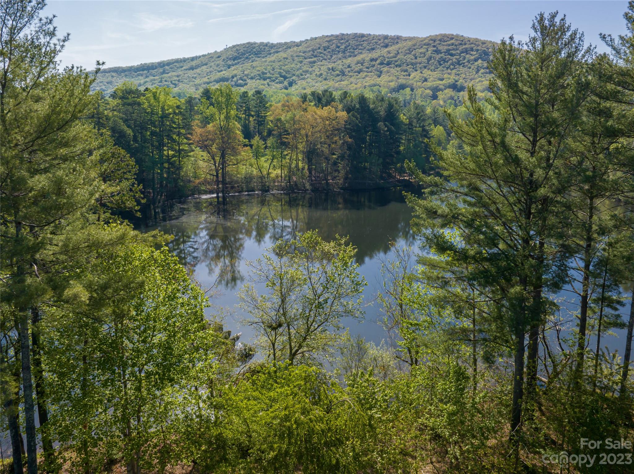 Biltmore Lake - Residential