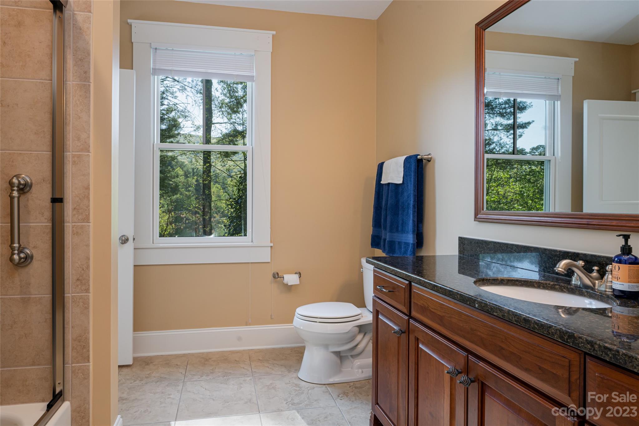 Biltmore Lake - Residential