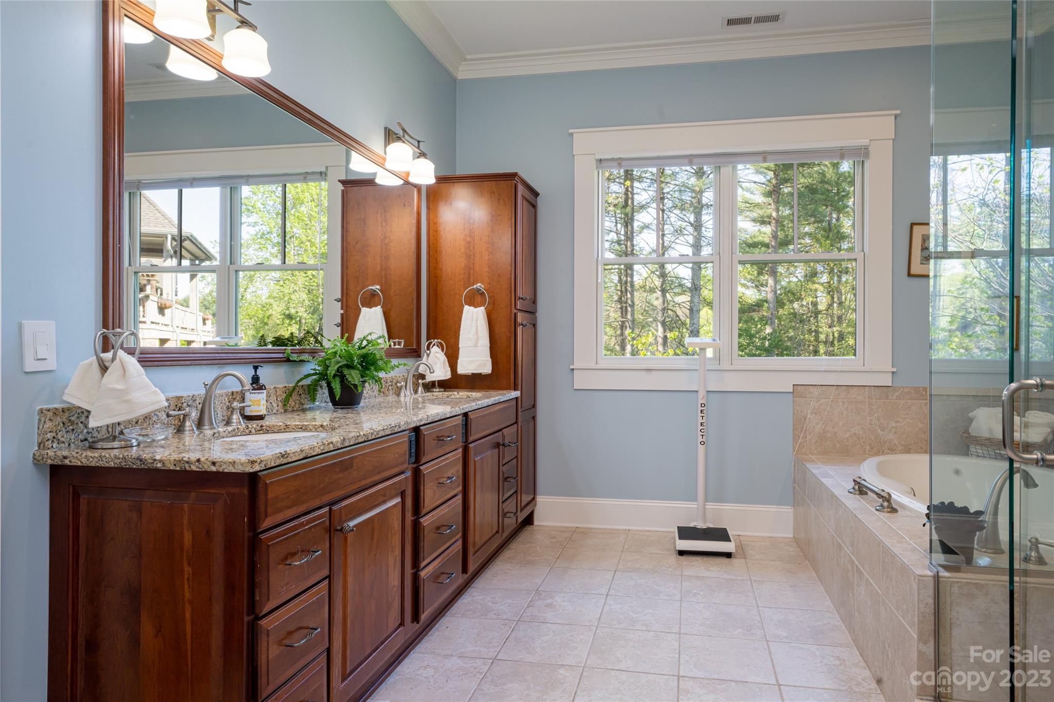 Biltmore Lake - Residential