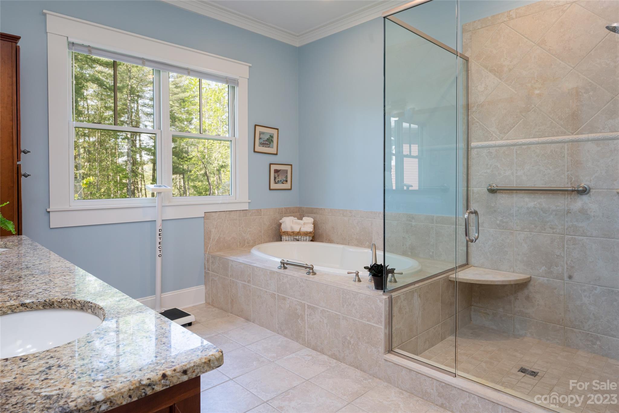 Biltmore Lake - Residential