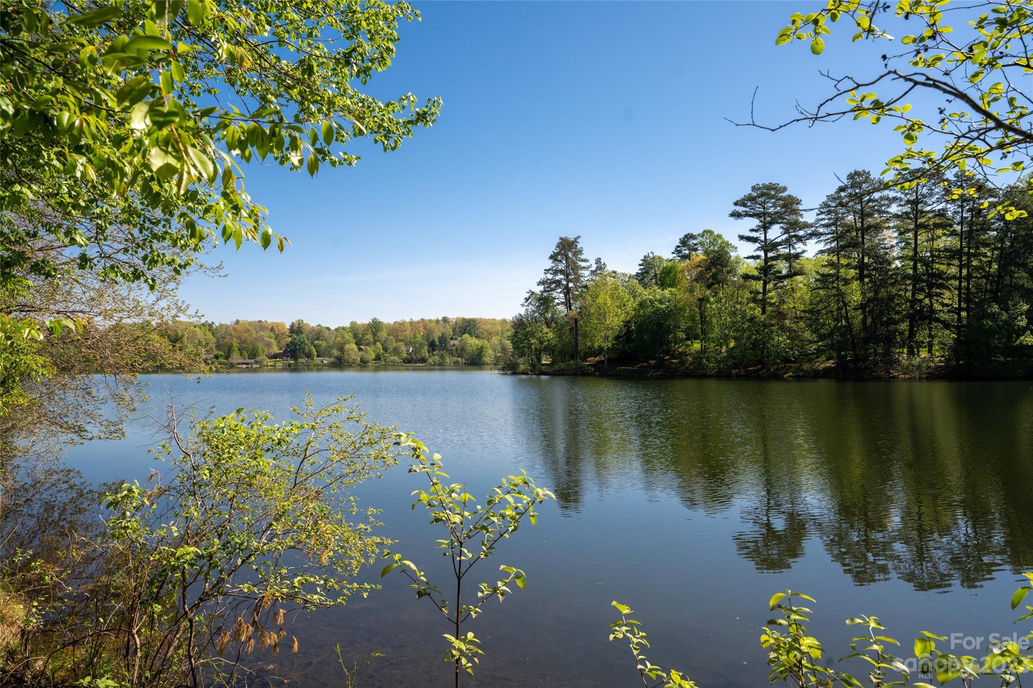 Biltmore Lake - Residential