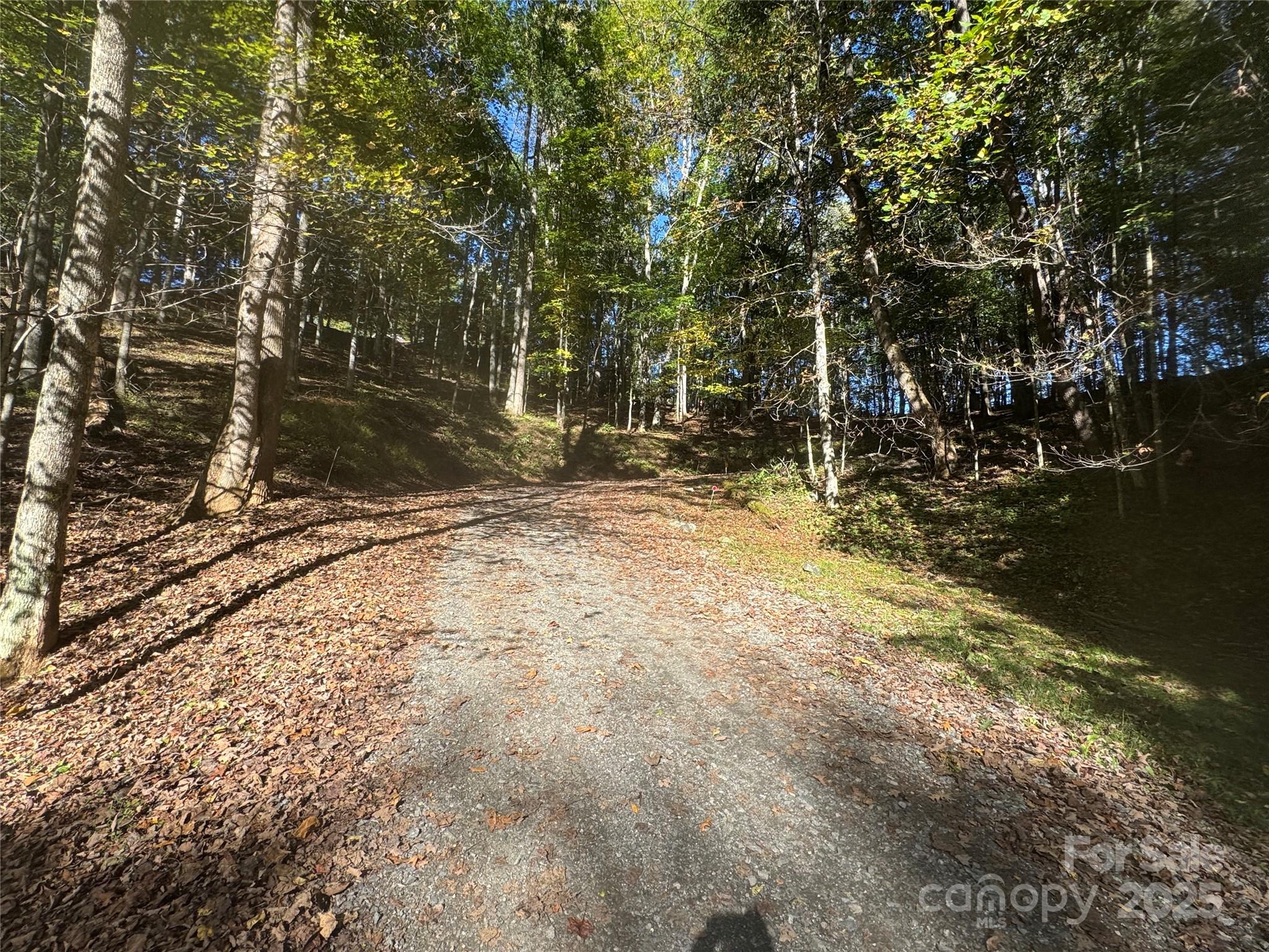 Trillium Glen - Land