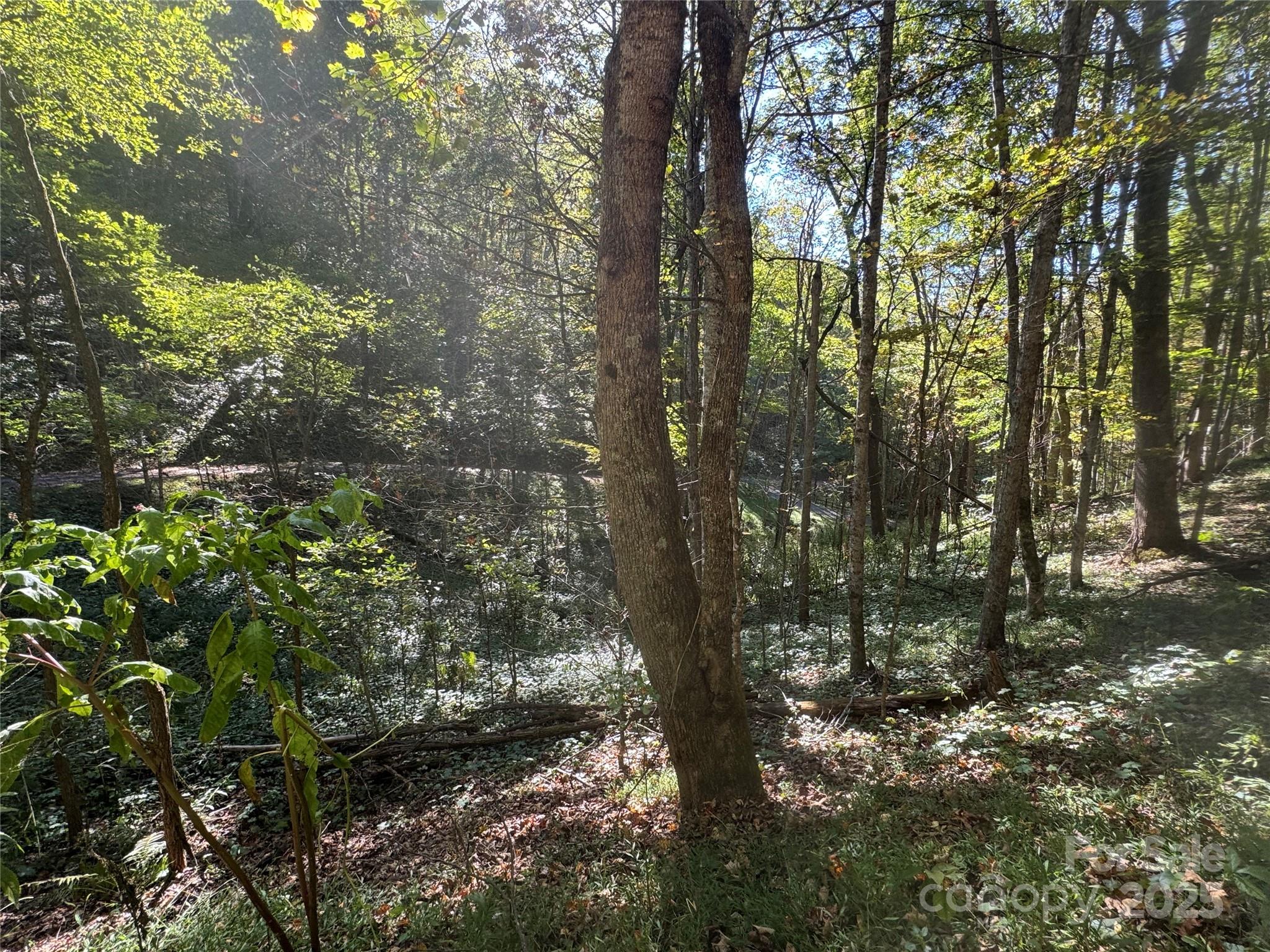 Trillium Glen - Land
