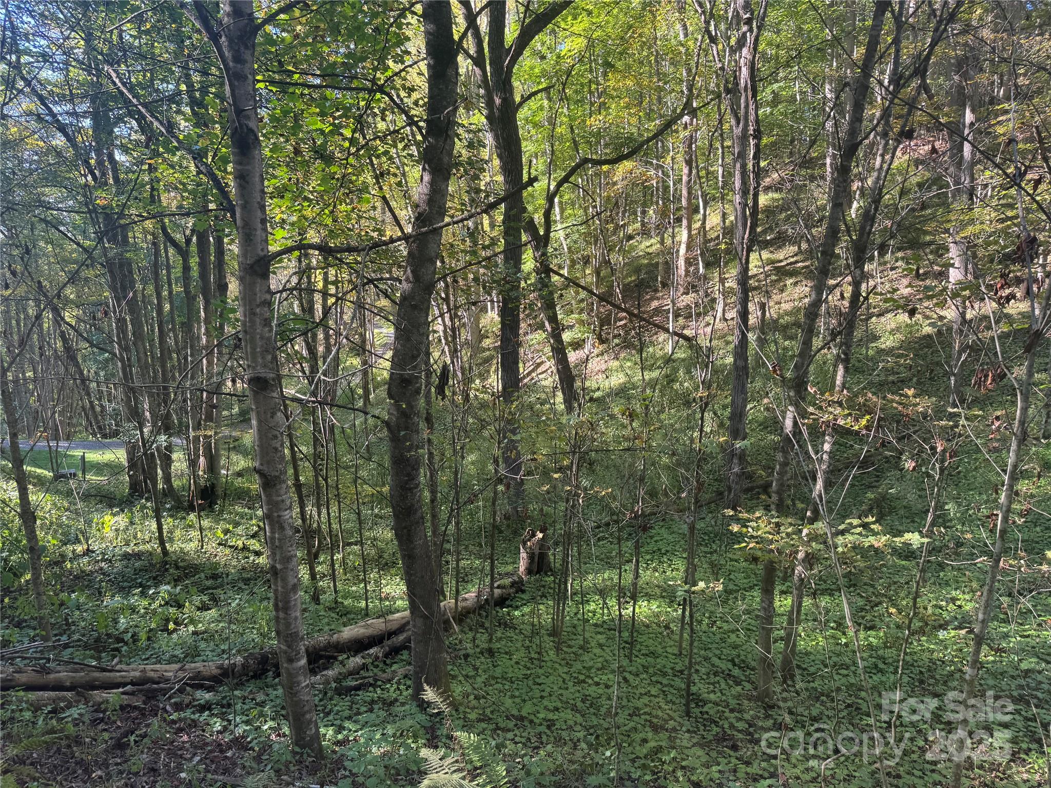 Trillium Glen - Land