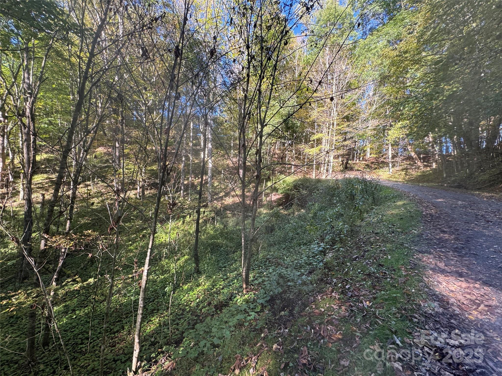 Trillium Glen - Land