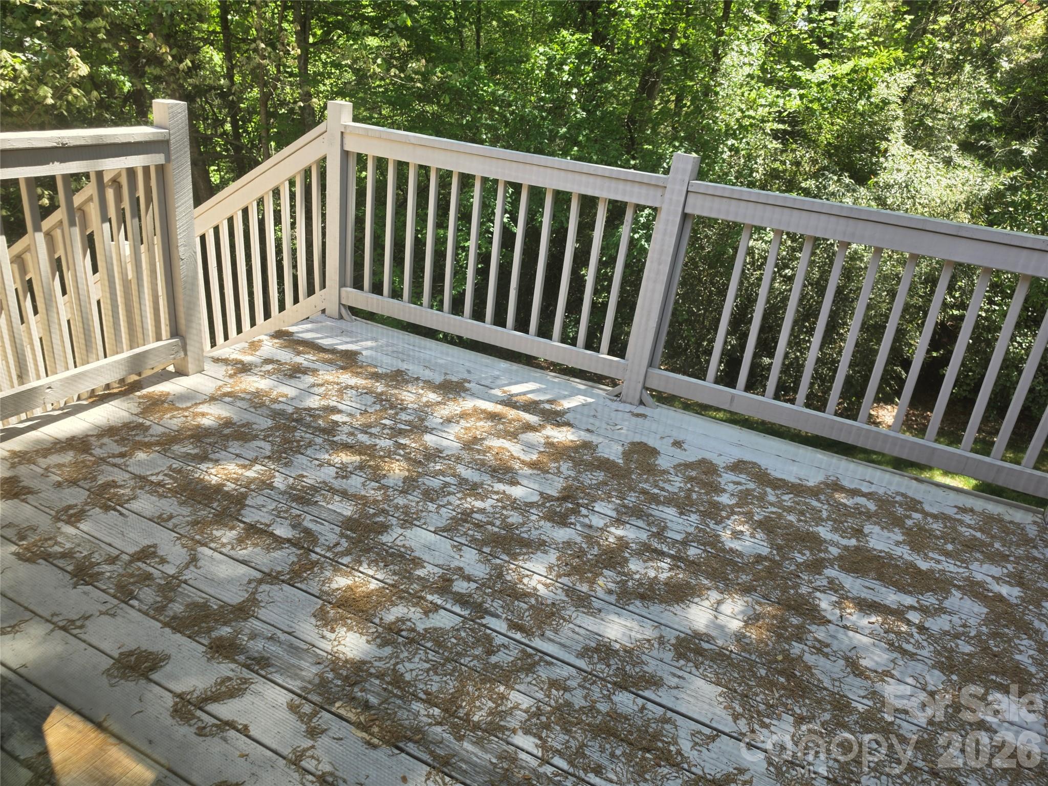 Cedar Grove - Residential