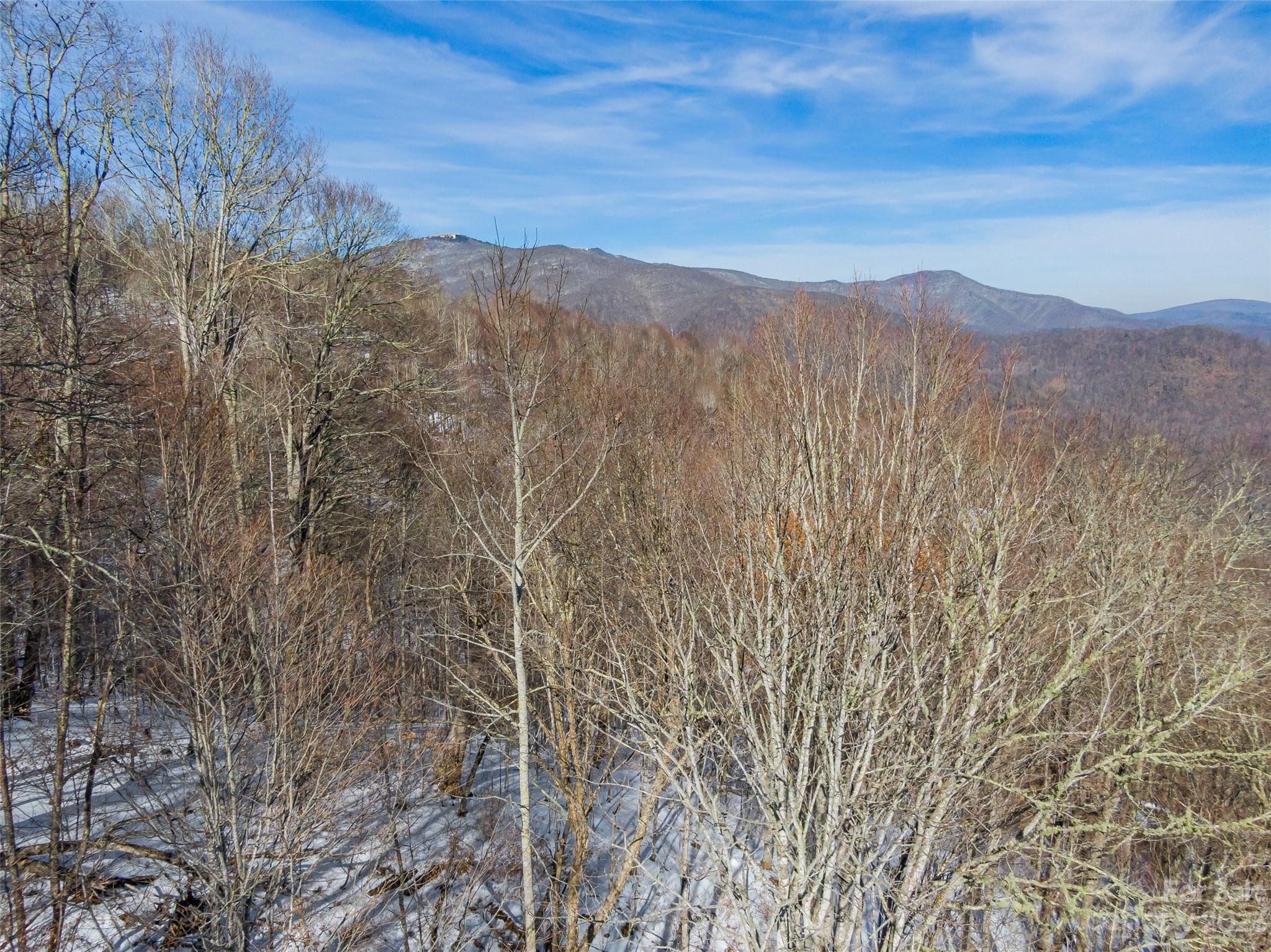 Lot 45 Black Bear Run