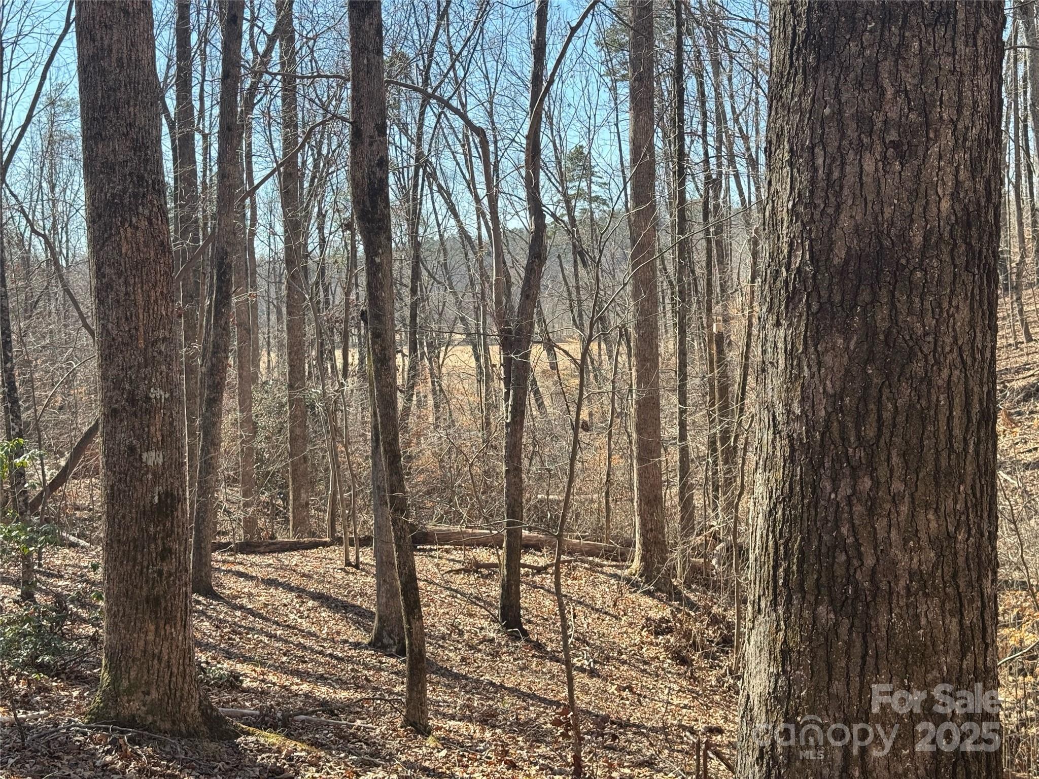 206 Westmoreland Trail 8
