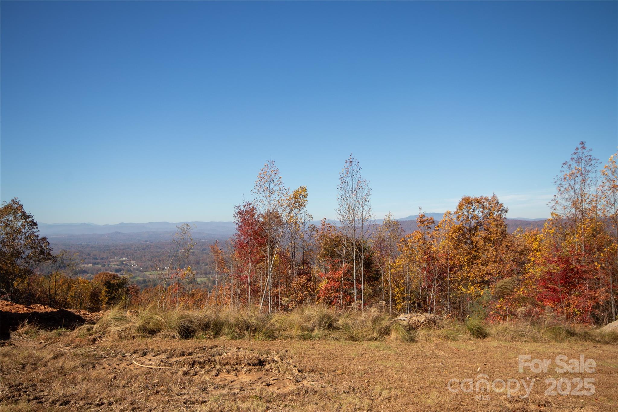 Eagle Heights - Land