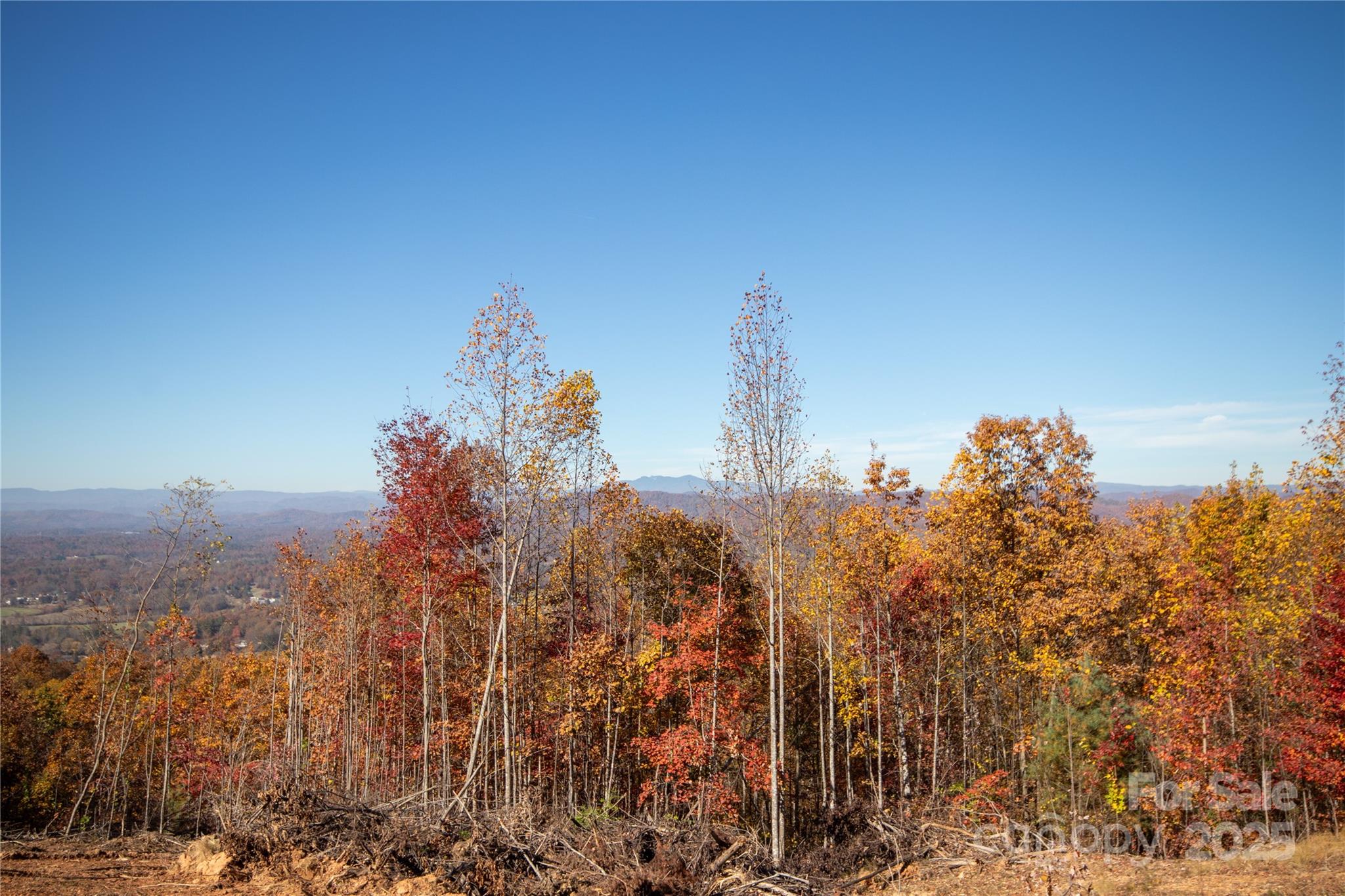 Lot# 3 Peregrine Terrace 3