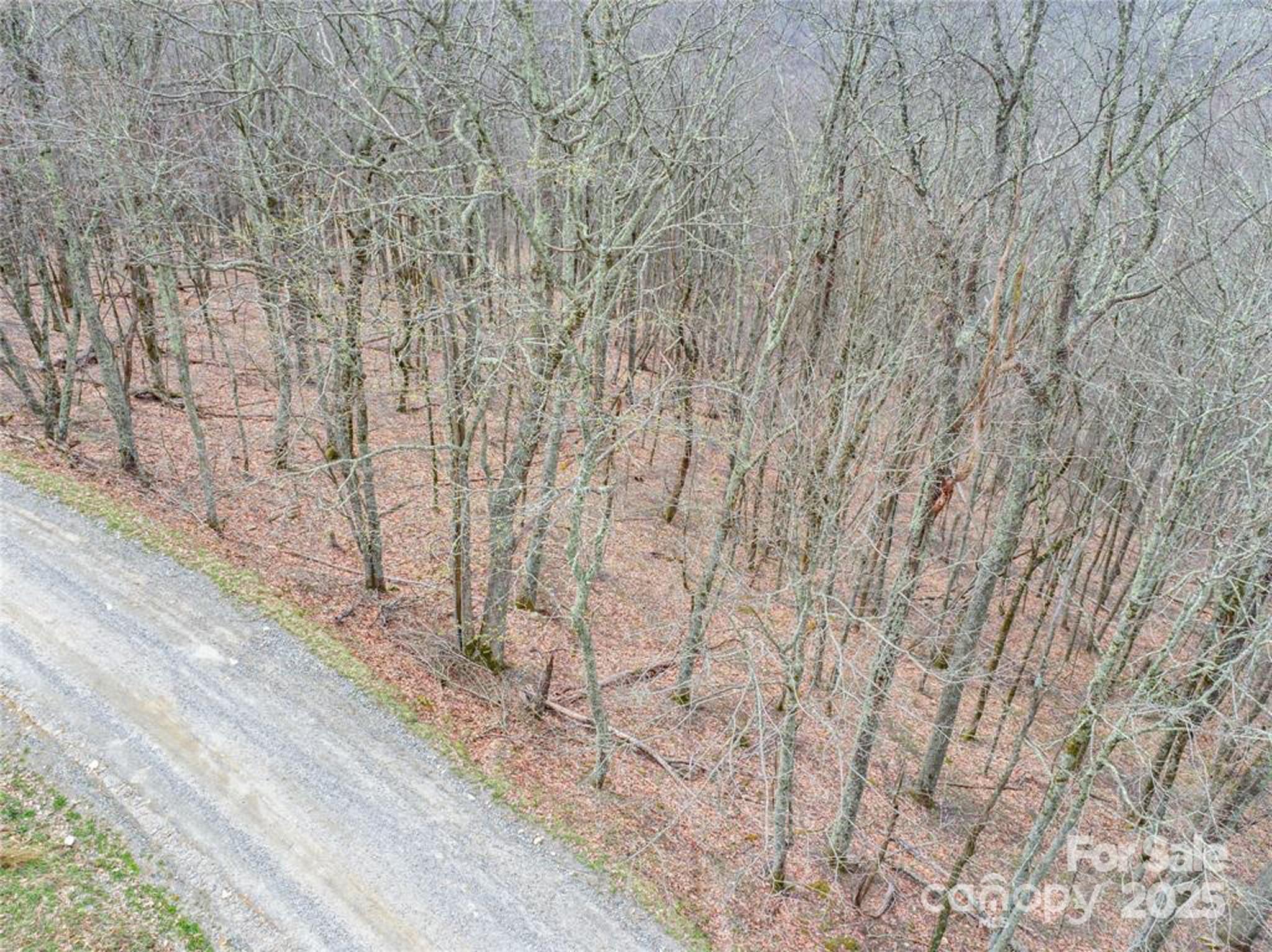 0 Grouse Thicket Lane Lot 262