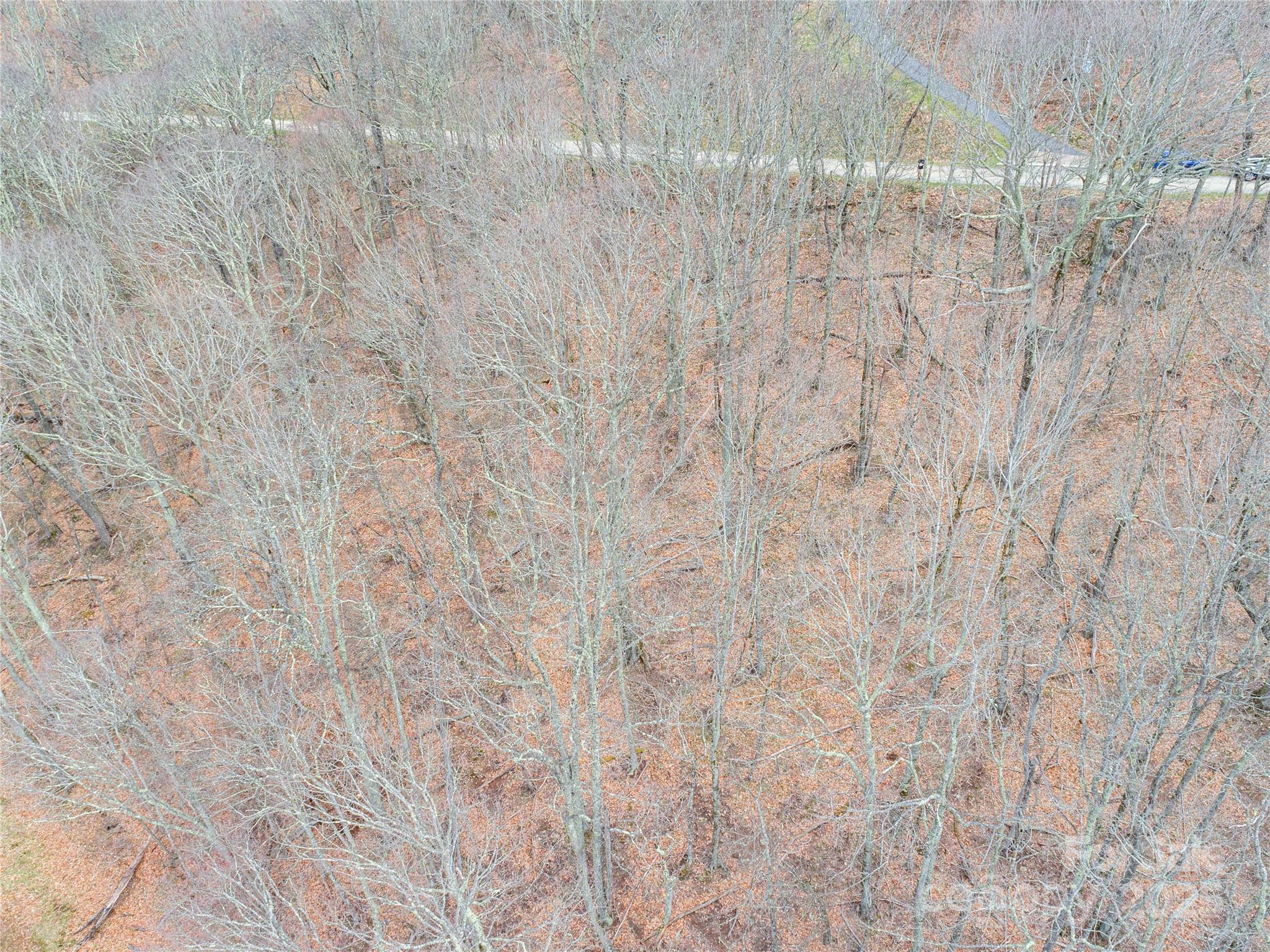 0 Grouse Thicket Lane Lot 262