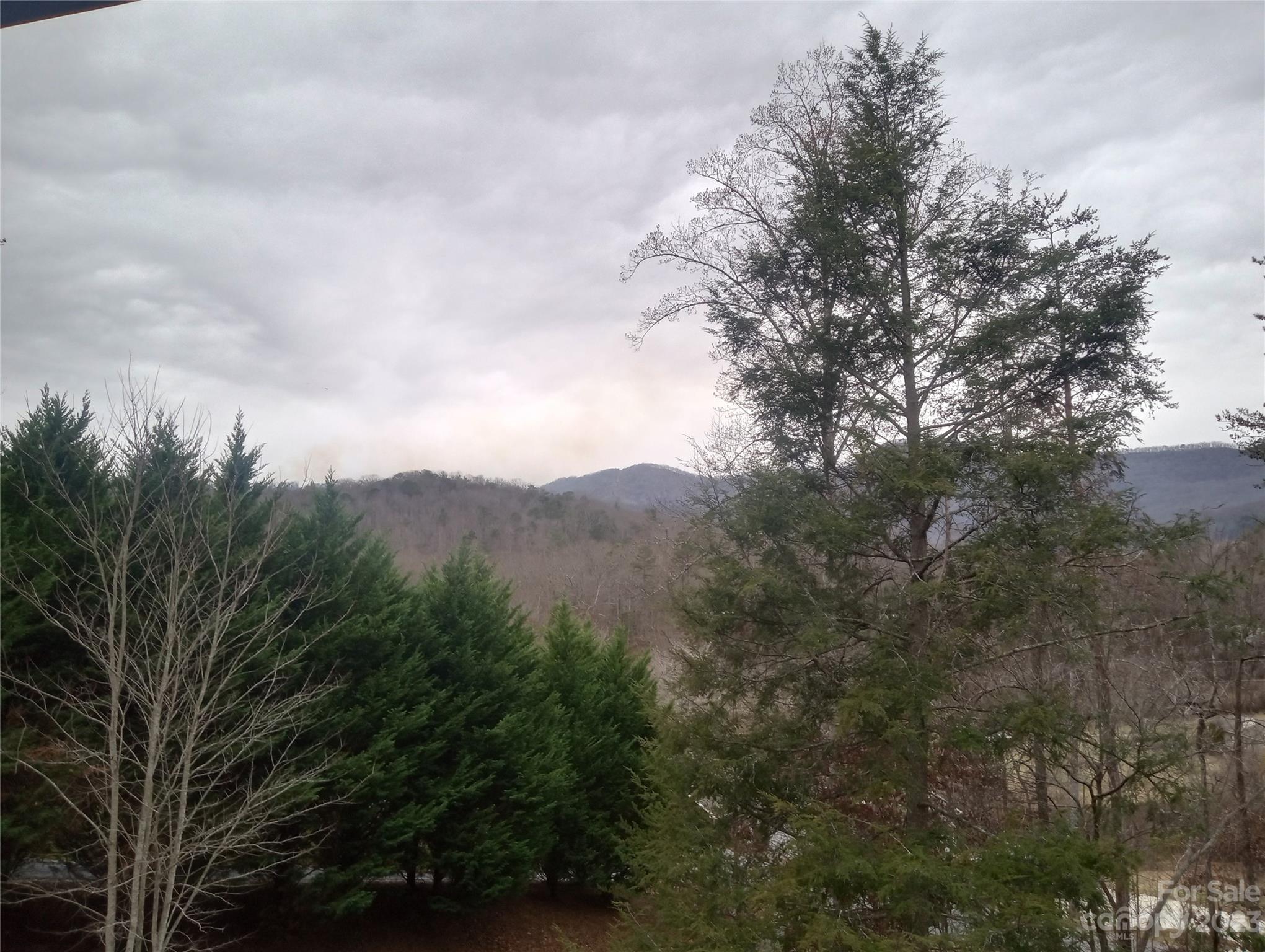 Forest Creek - Residential