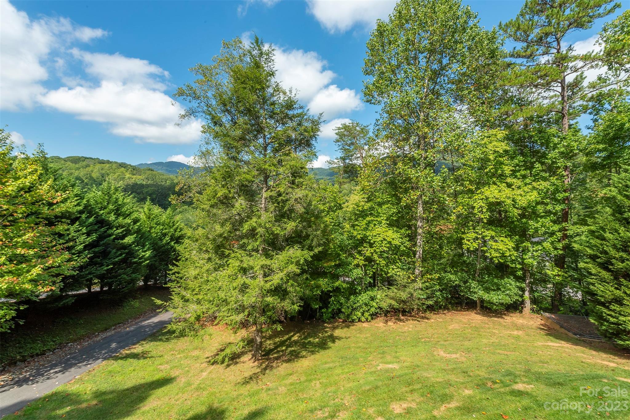 Forest Creek - Residential