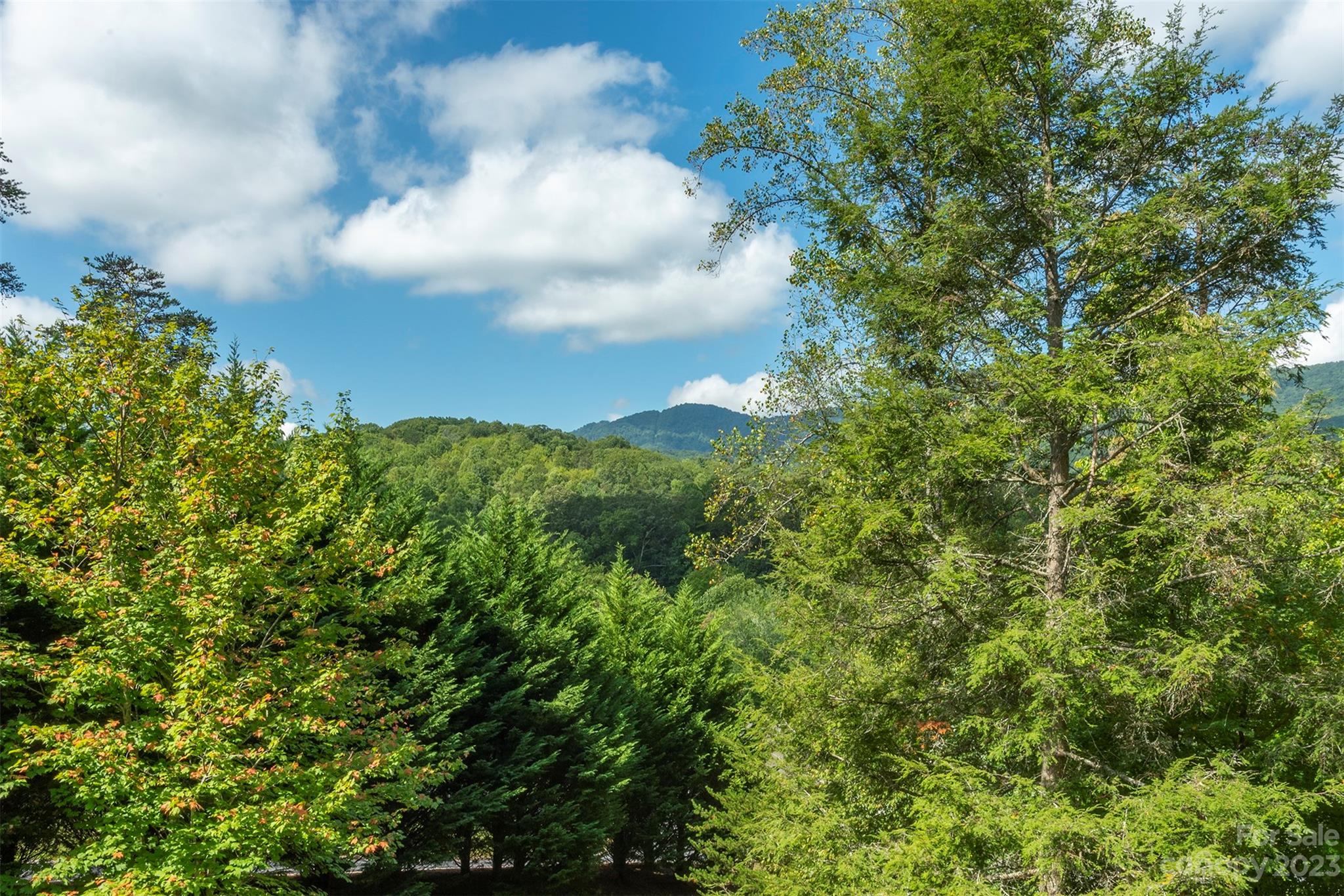 Forest Creek - Residential