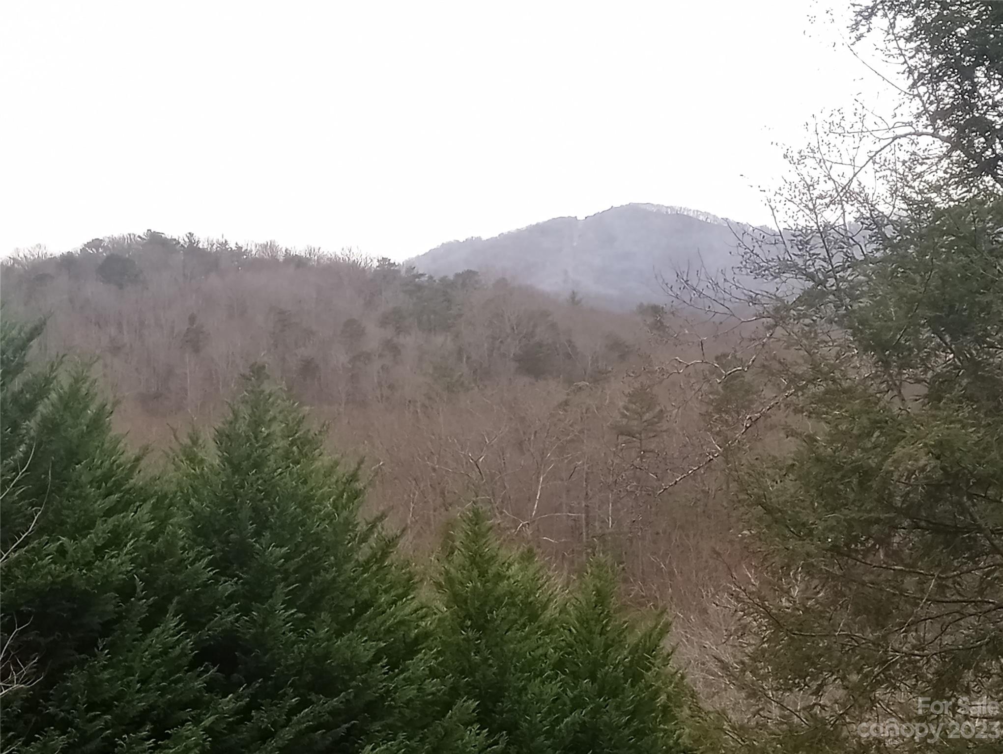 Forest Creek - Residential