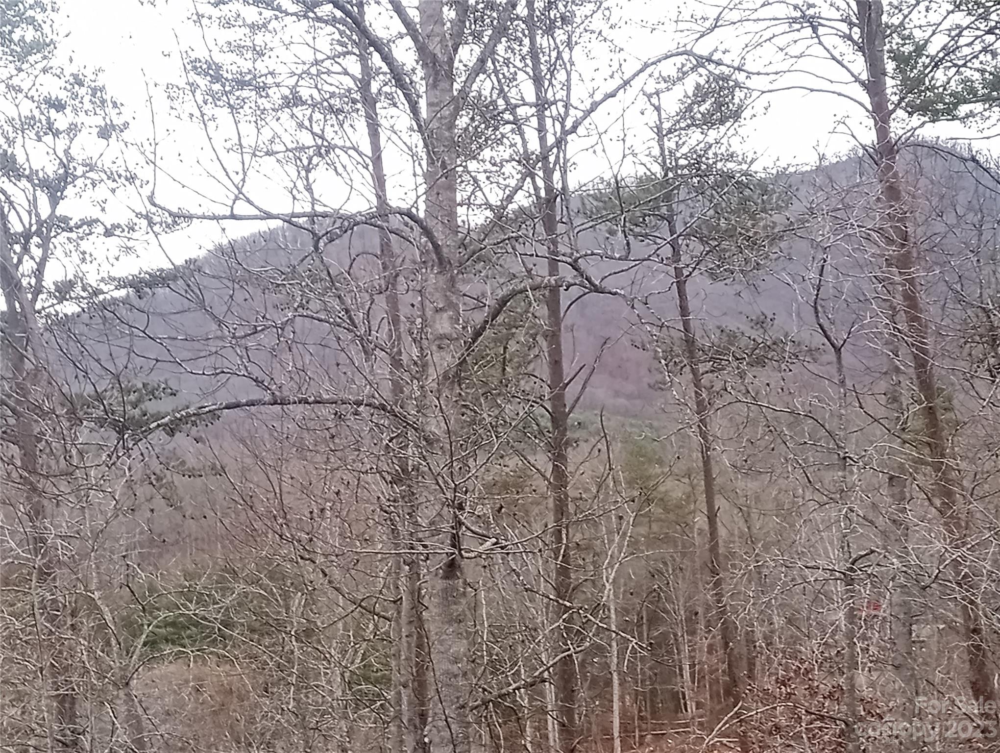 Forest Creek - Residential