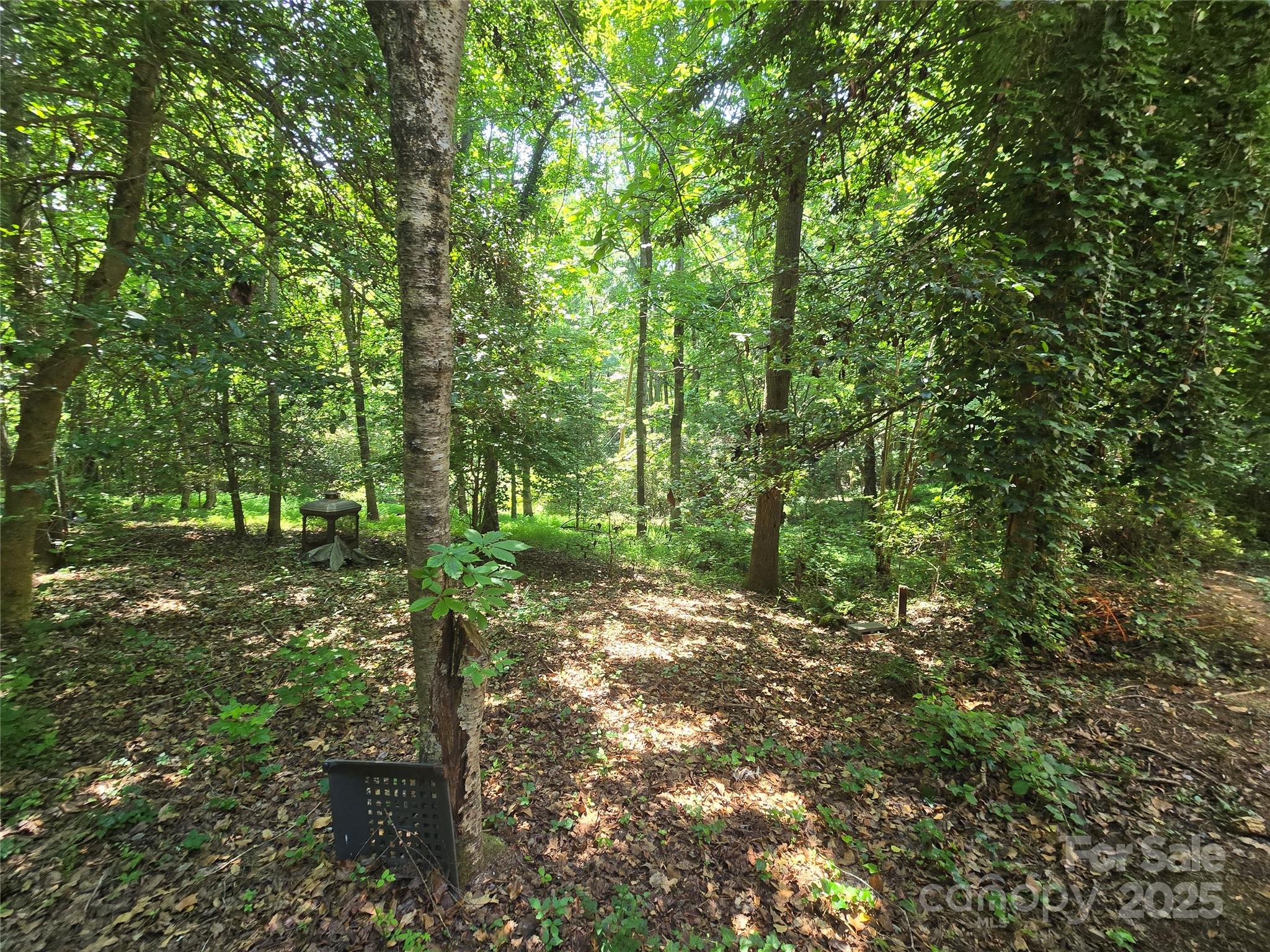 5 Auburndale Drive
