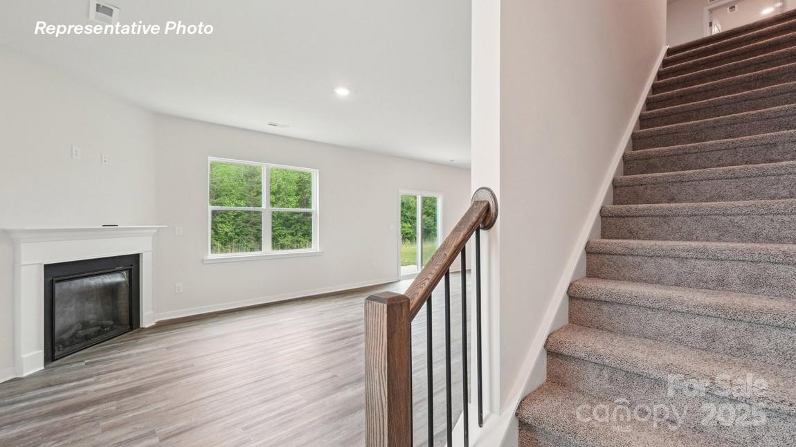 Reedy Creek Preserve - Residential