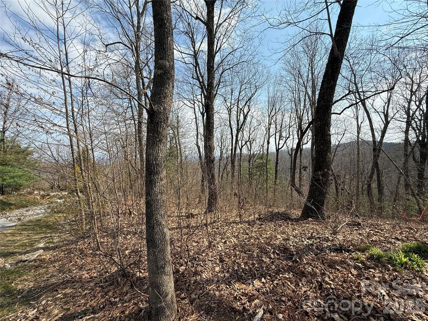 BEST MOUNTAIN VIEW HOMESITE CURRENTLY ON MARKET IN KENMURE.  Panoramic long range, multi-layered mountain views at the end of a private cul-de-sac with a sloping buildsite. Homesite should offer dramatic views and will likely open further upon installation of septic system and septic system drain-fields. Lot is suitable for a gracious estate home and located on a premier street of Kenmure grand mountain top homes. Offers supreme privacy, best in class mountain views and a unique and special spot to build something special for your family to enjoy for generations. Expired Fawncrest Court Septic Permit attached for review and for insights on proposed home placement. On - site agents available to show / walk lot and to engage with builders currently building homes on similarly - sloping mountain view lots currently under construction in the community.