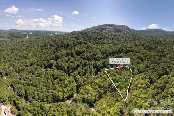 WEAVER LN, LAKE LURE, NC 28746 - Image 16fad9d1b7706ba7bb7e1f8d2408c2e6/2046257554