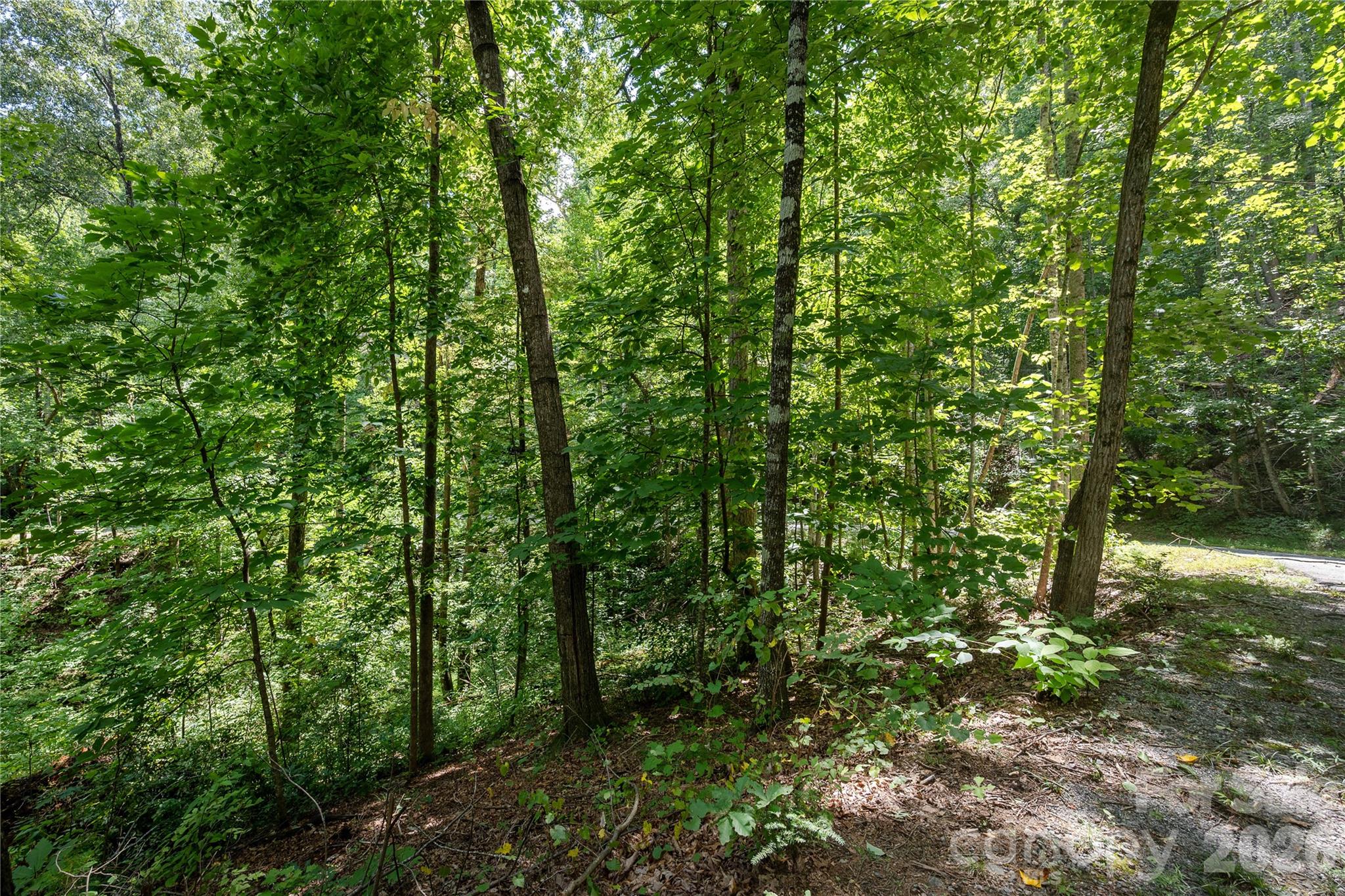0 Weaver Lane 185