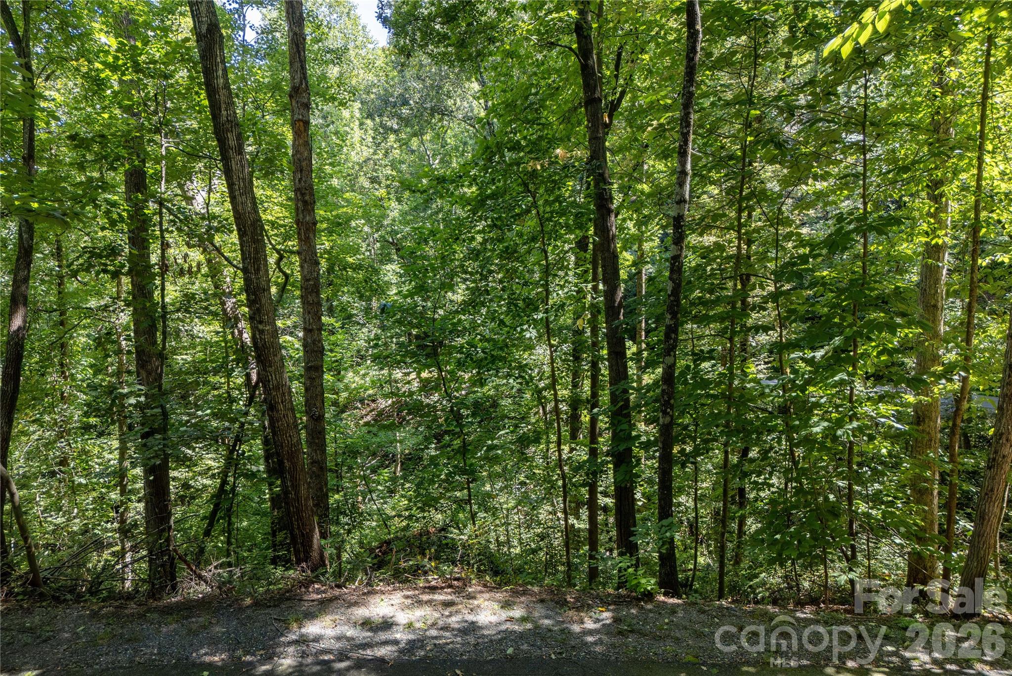 0 Weaver Lane 185