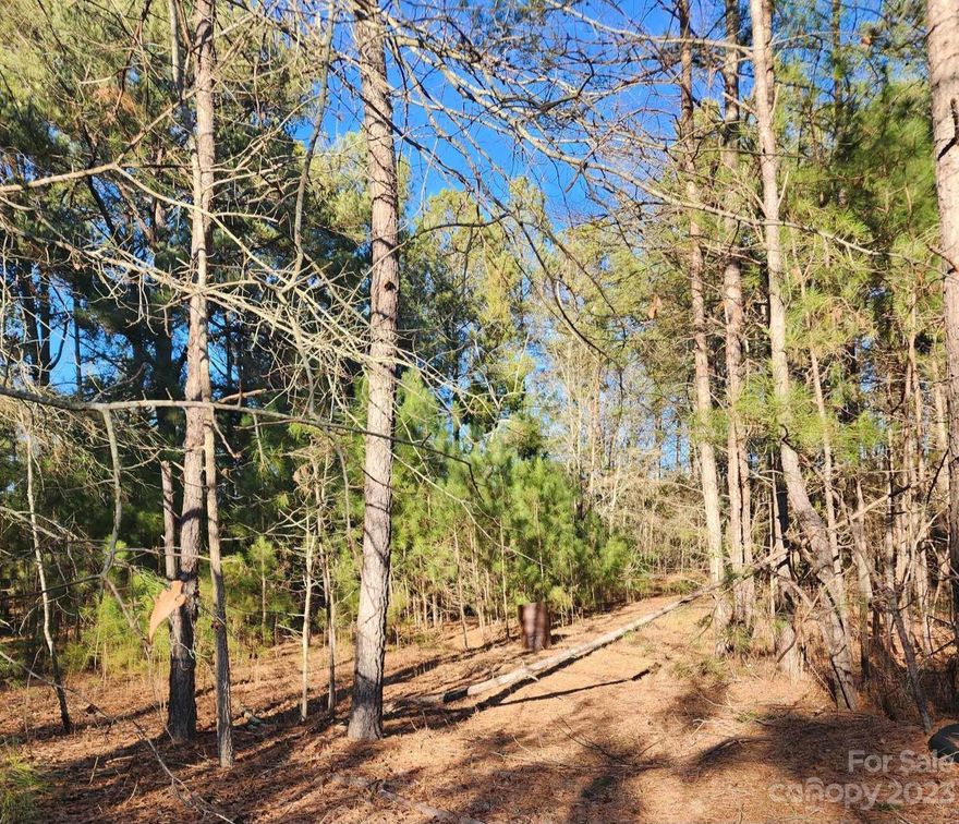 **Highest and Best Offers due Saturday, Jan. 27th by 5pm.**  Builders, Take Notice! A Unique Opportunity Awaits! Introducing a remarkable package of 5 lots, comprising 4 delightful parcels each measuring .47 acres, and a spacious 1.5-acre lot. All conveniently located just a stone's throw from the "Peach Capital" - Town of Candor!! These parcels are teeming with possibilities! This is an extraordinary chance you won't want to miss!  
 **Existing building on site to be sold at no value**