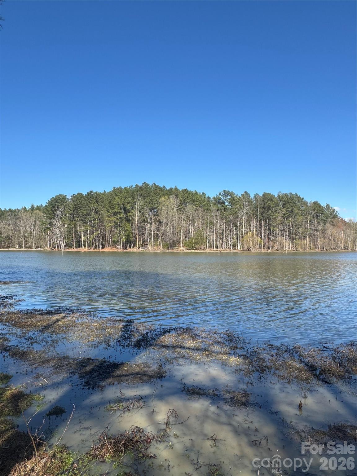 Serenity Shores - Land