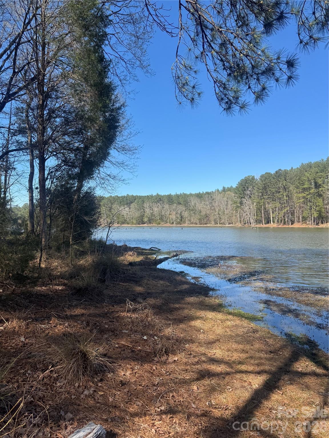 Serenity Shores - Land