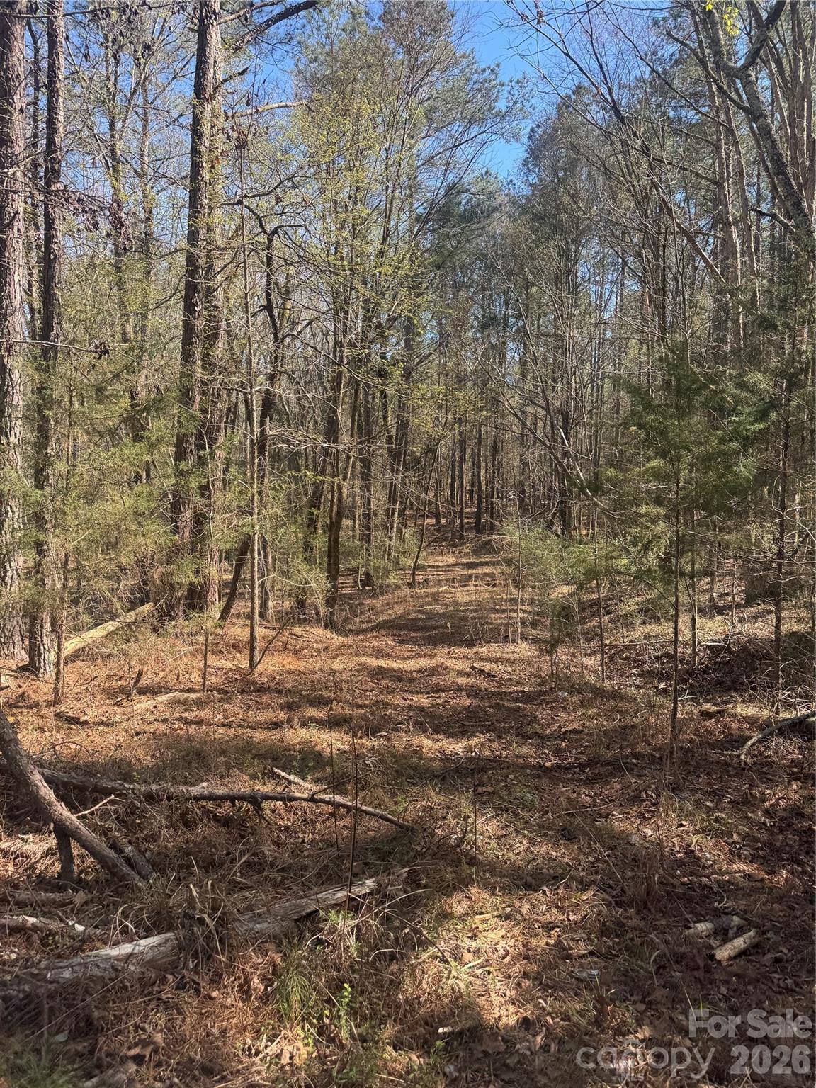 Serenity Shores - Land