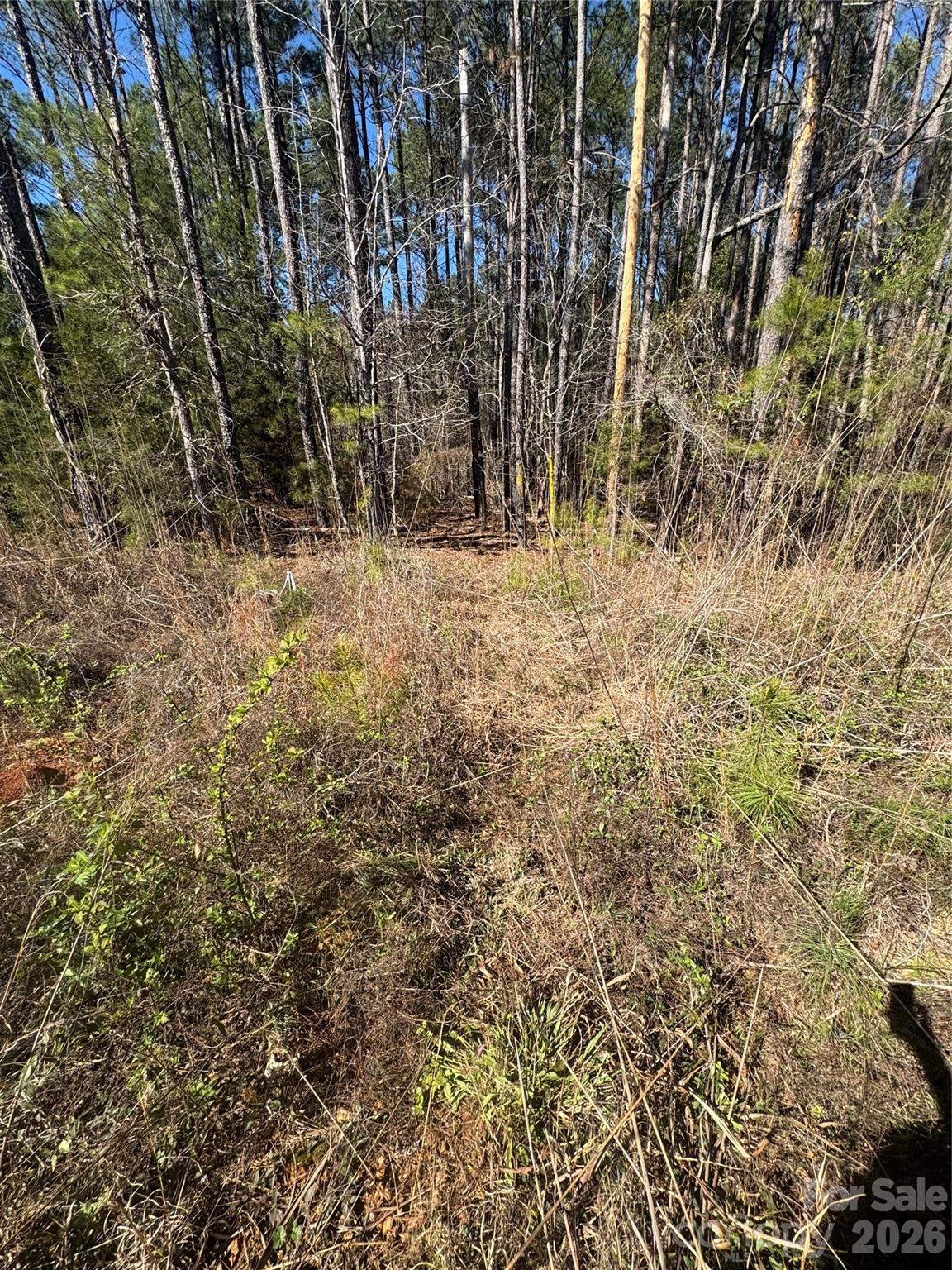 Serenity Shores - Land