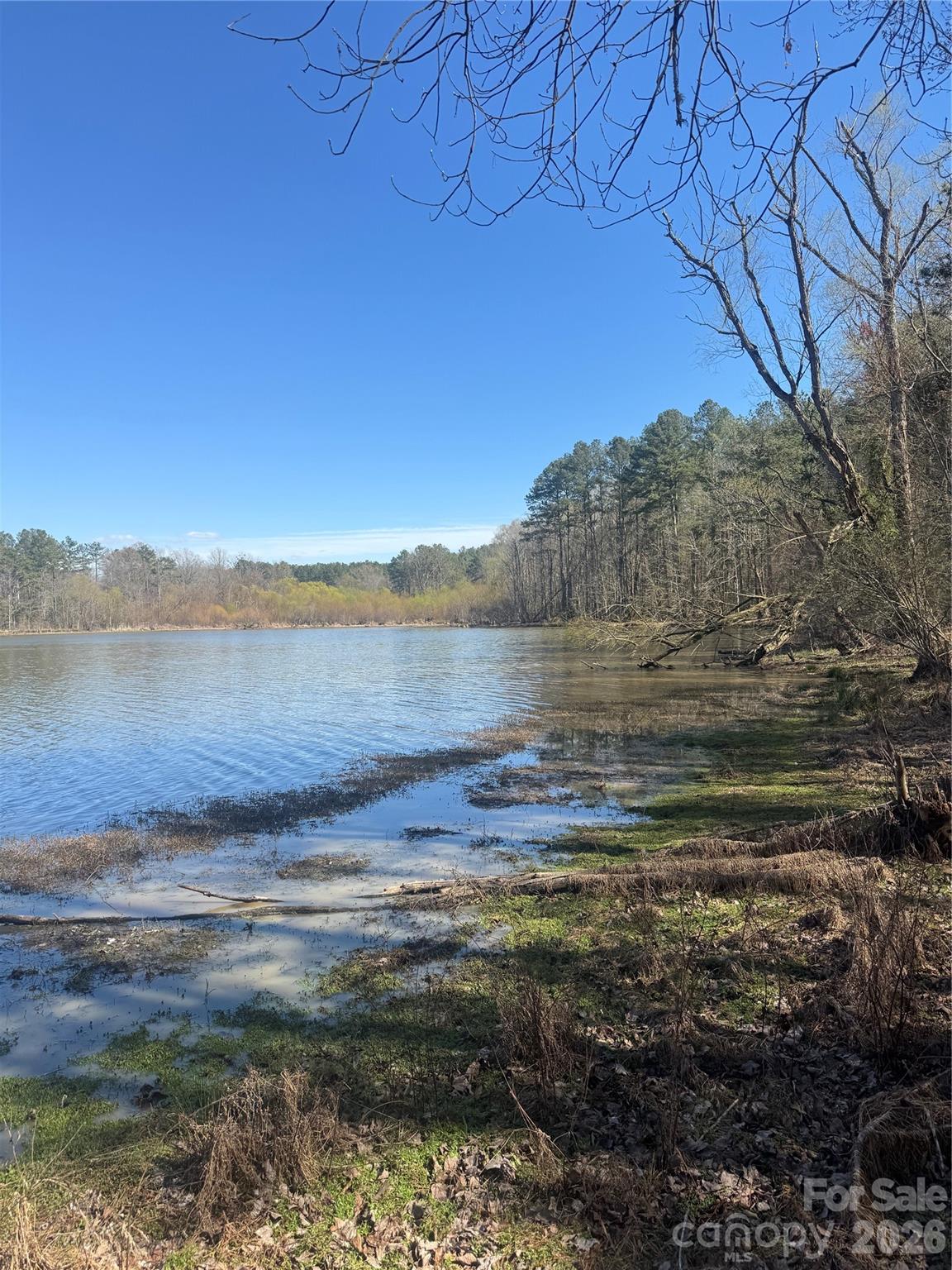 Serenity Shores - Land