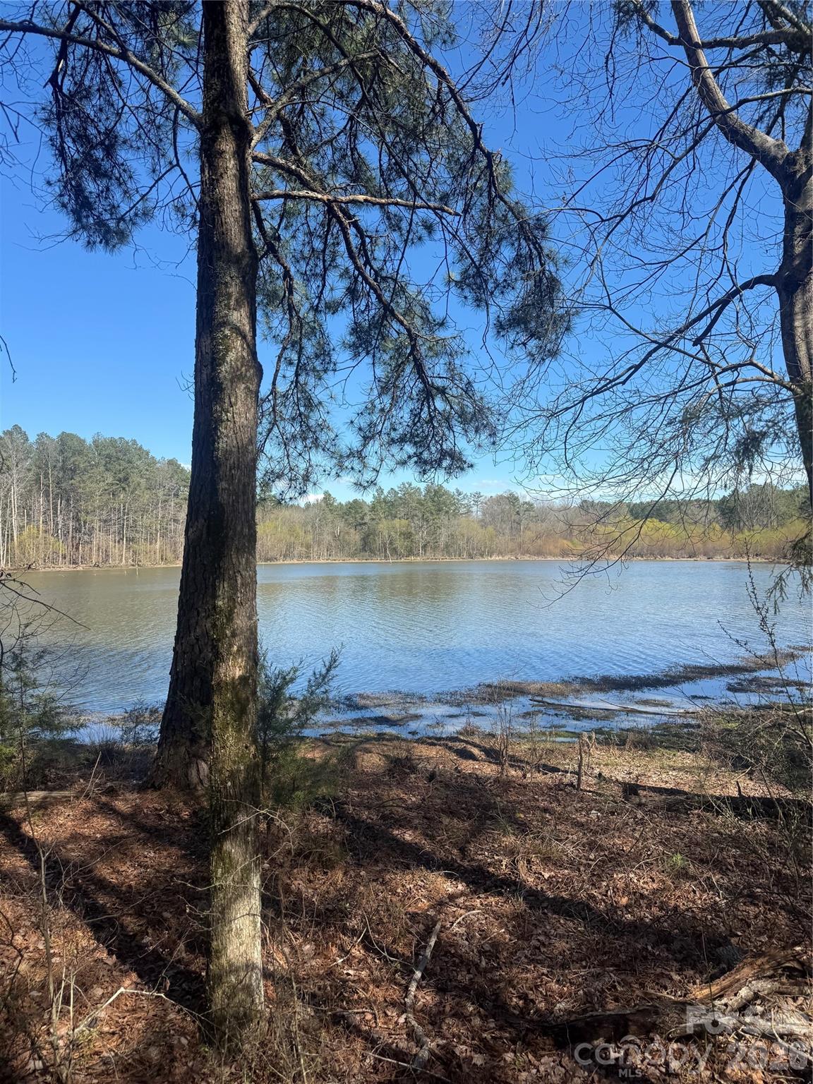 Serenity Shores - Land