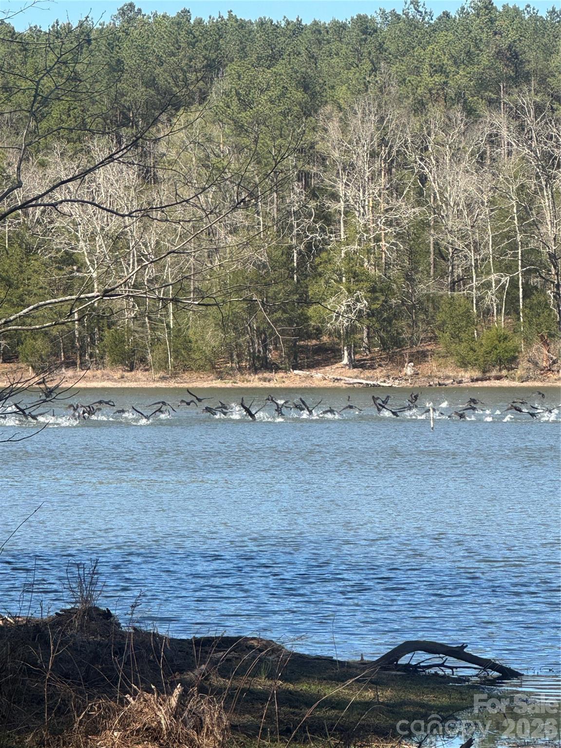 Serenity Shores - Land